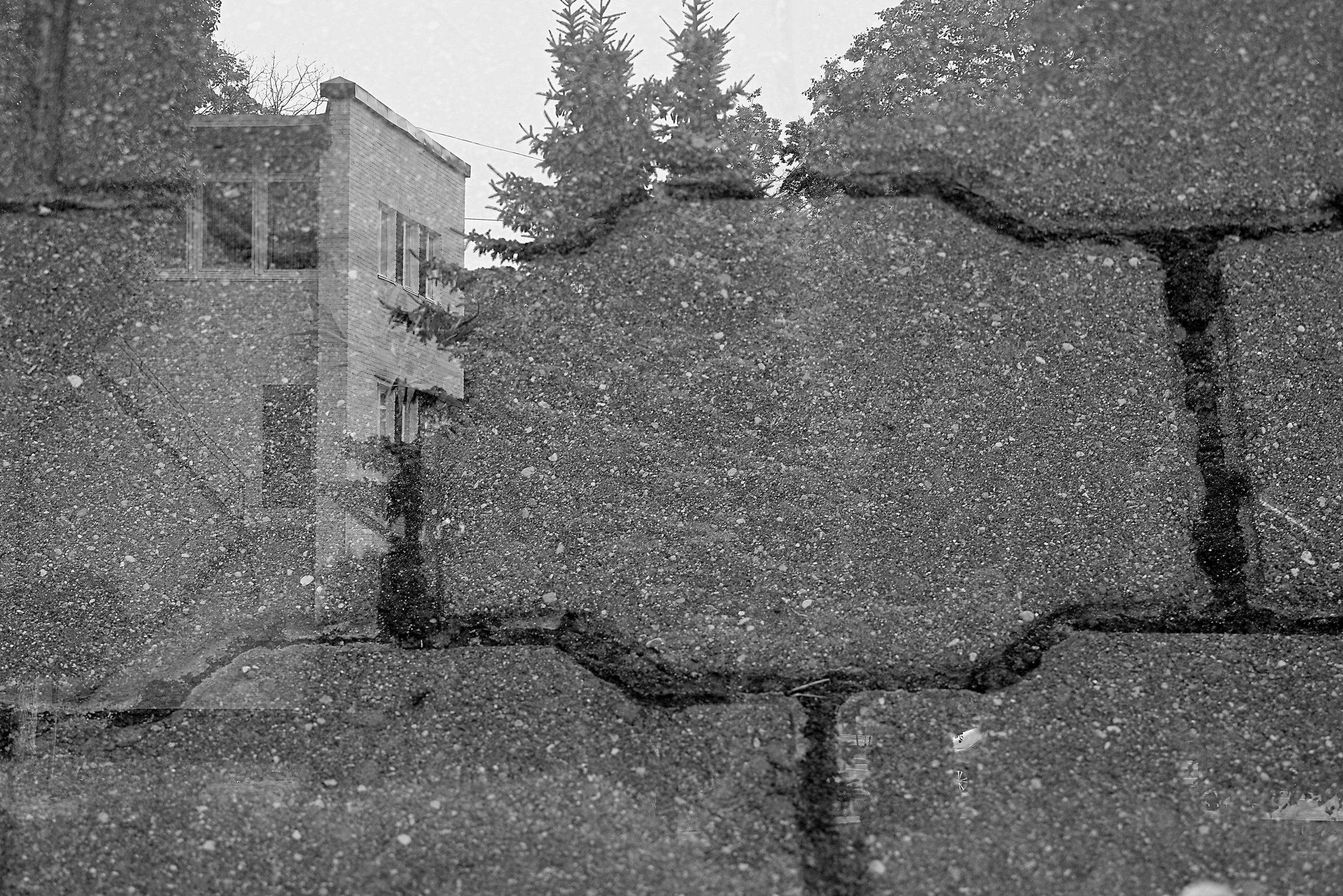 ЧБ  пейзажи (BnW landscape). Фотограф (photographer) Lischinski Vitaliy