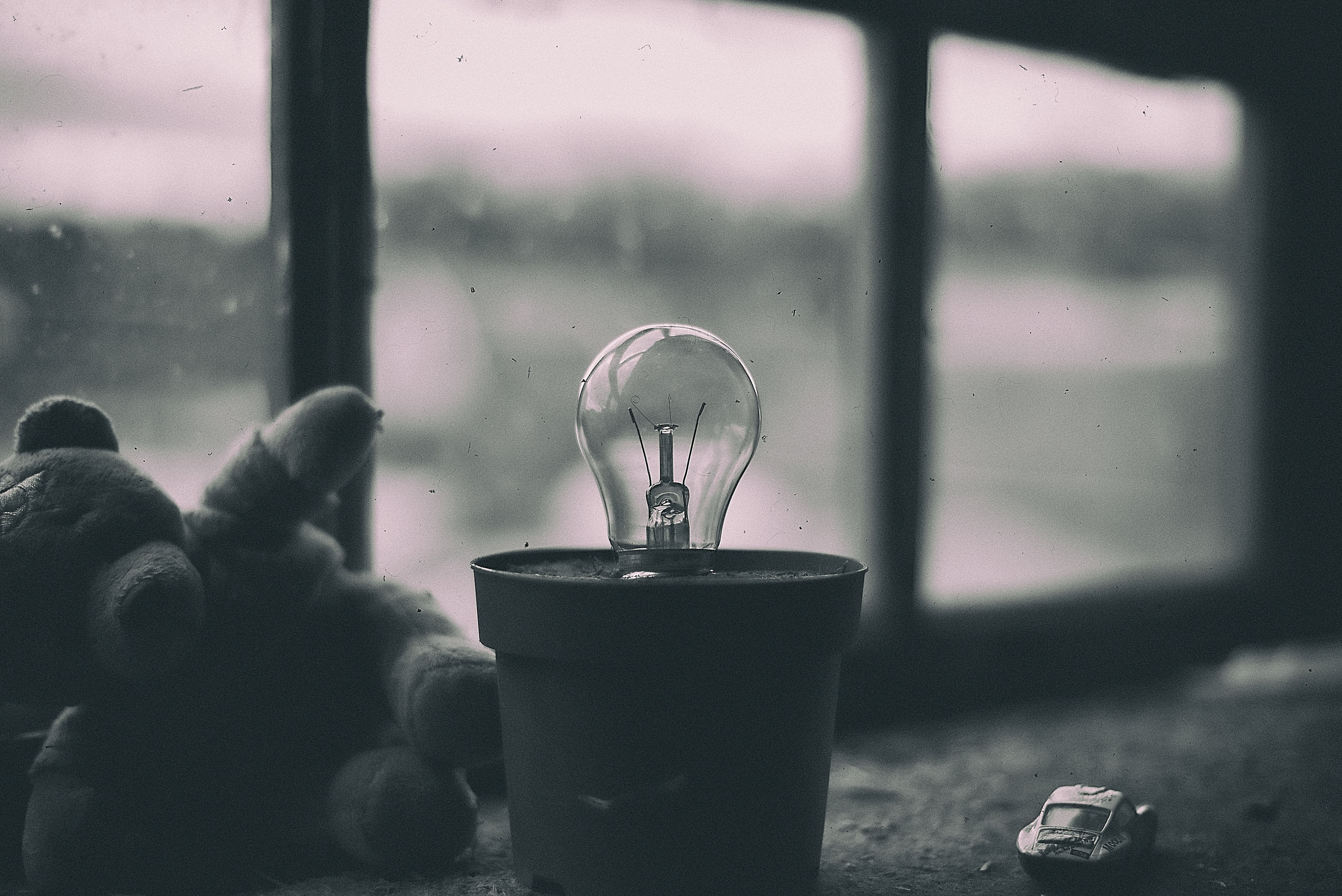 картина, фотокартина, картина в Гомеле, painting, canvas