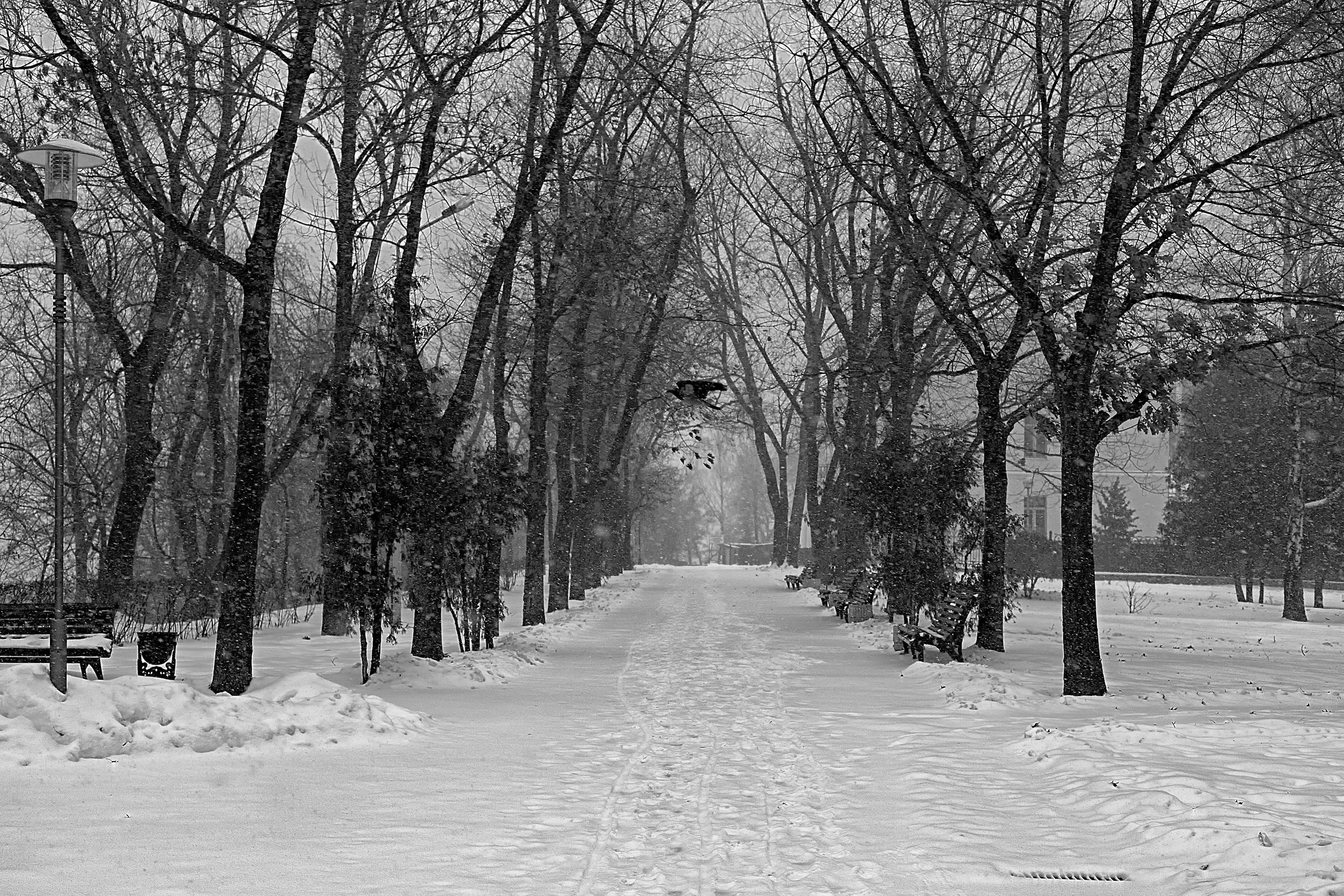 ЧБ  пейзажи (BnW landscape). Фотограф (photographer) Lischinski Vitaliy