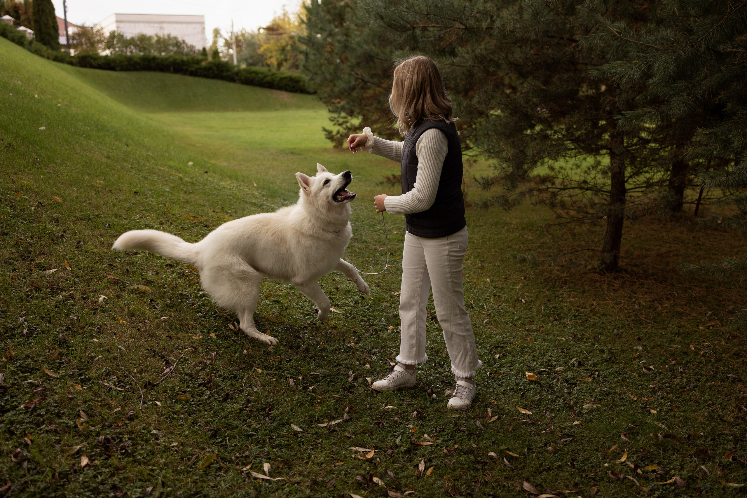 Алина и Райден. Фотограф — Анималист Наталья Тямушева