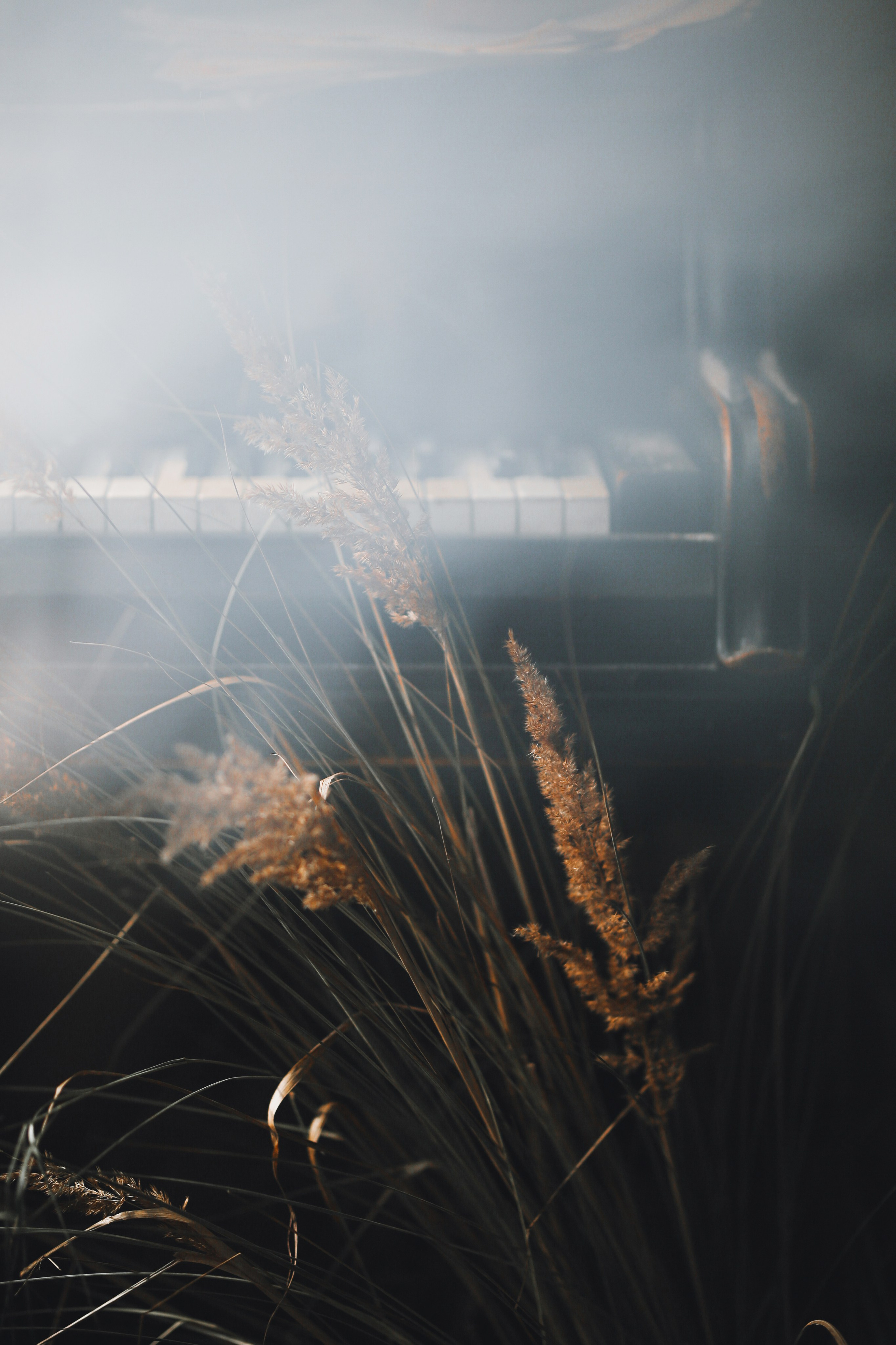 Писатель в Drozd House. Фотограф Анастасия Залевская