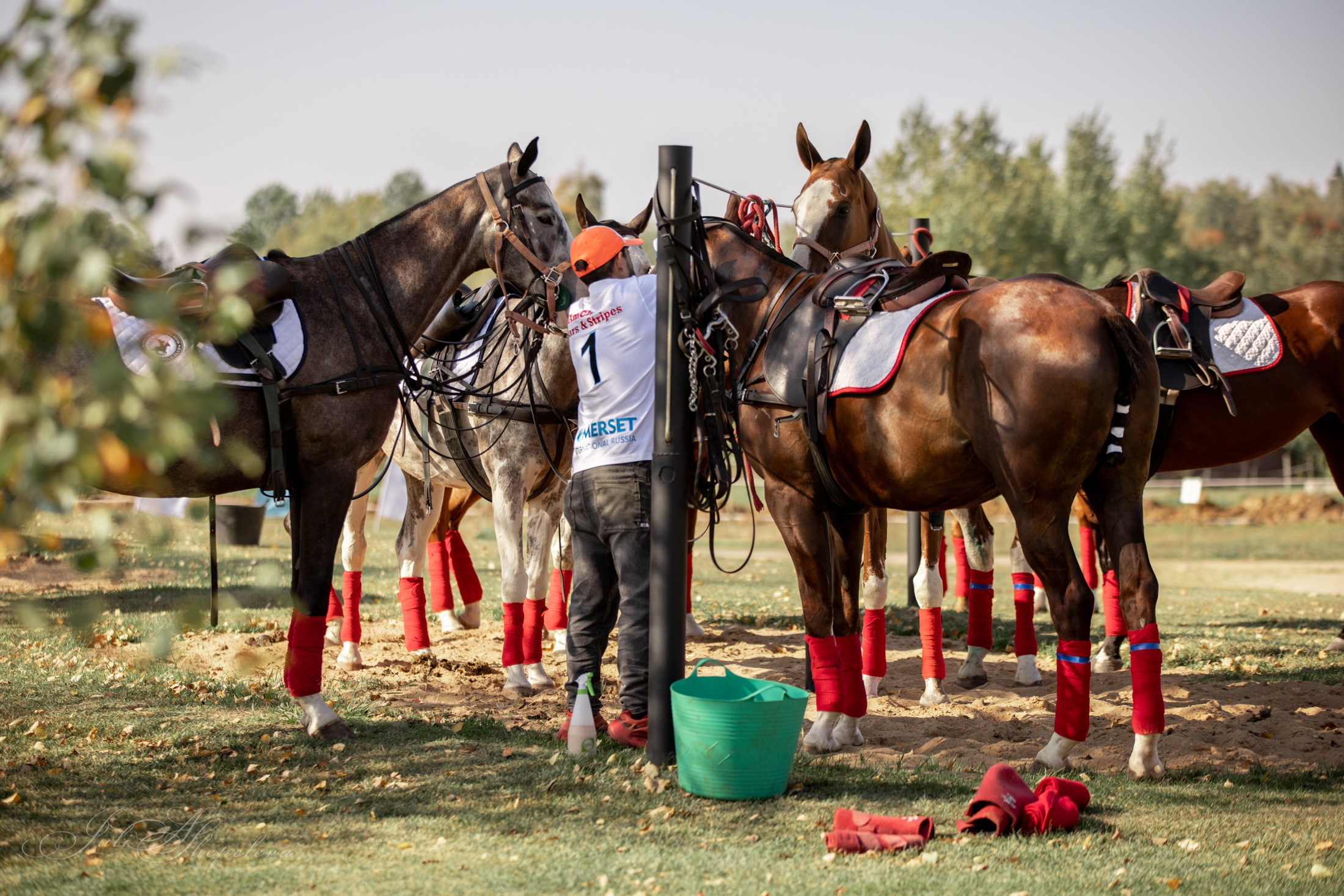 Осенний кубок по конному поло. Детская Конная фотография в Москве Юлия Шепелева