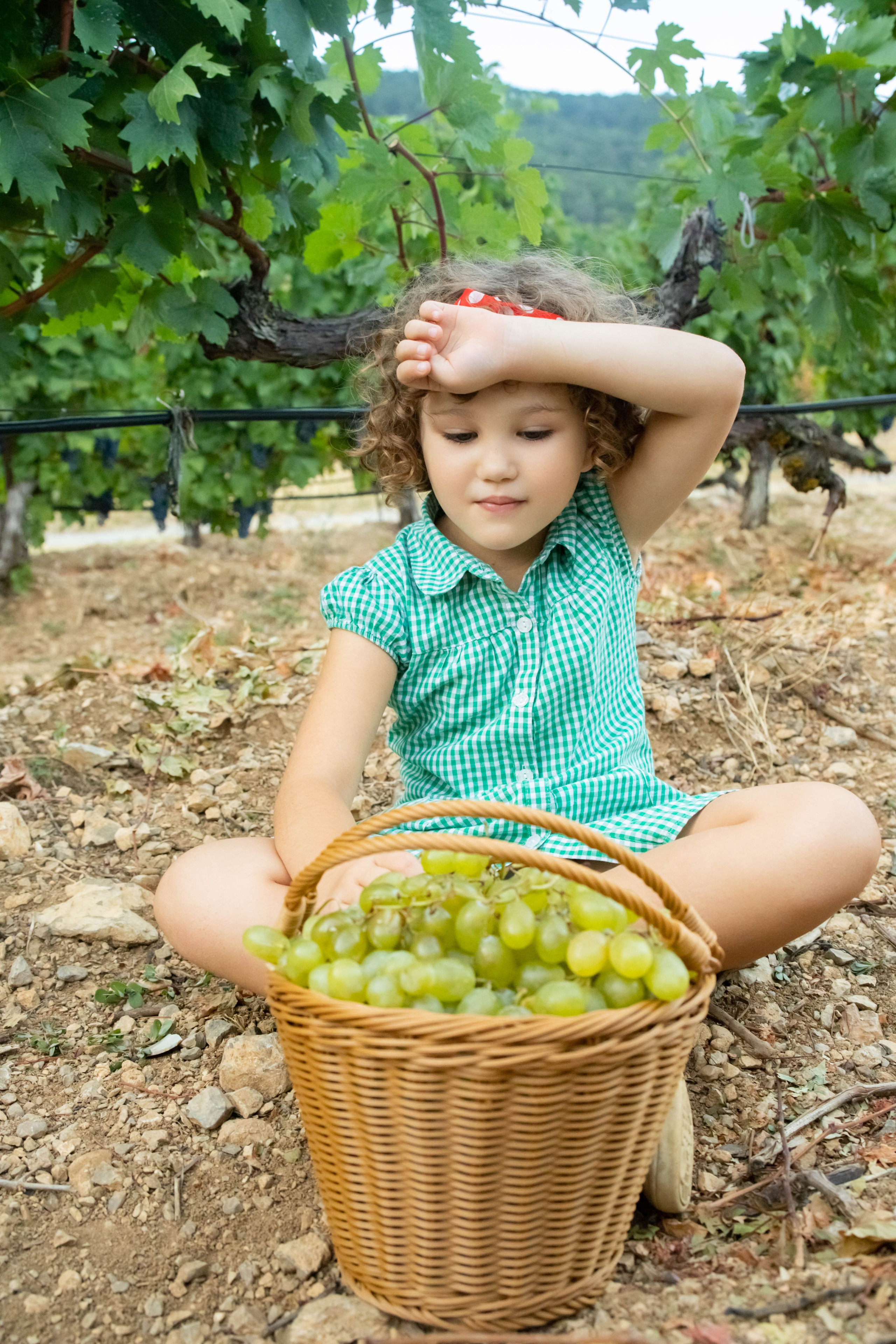 Выездная фотосъемка. Фотограф в Крыму Татьяна Барицкая ЕНОТИКА