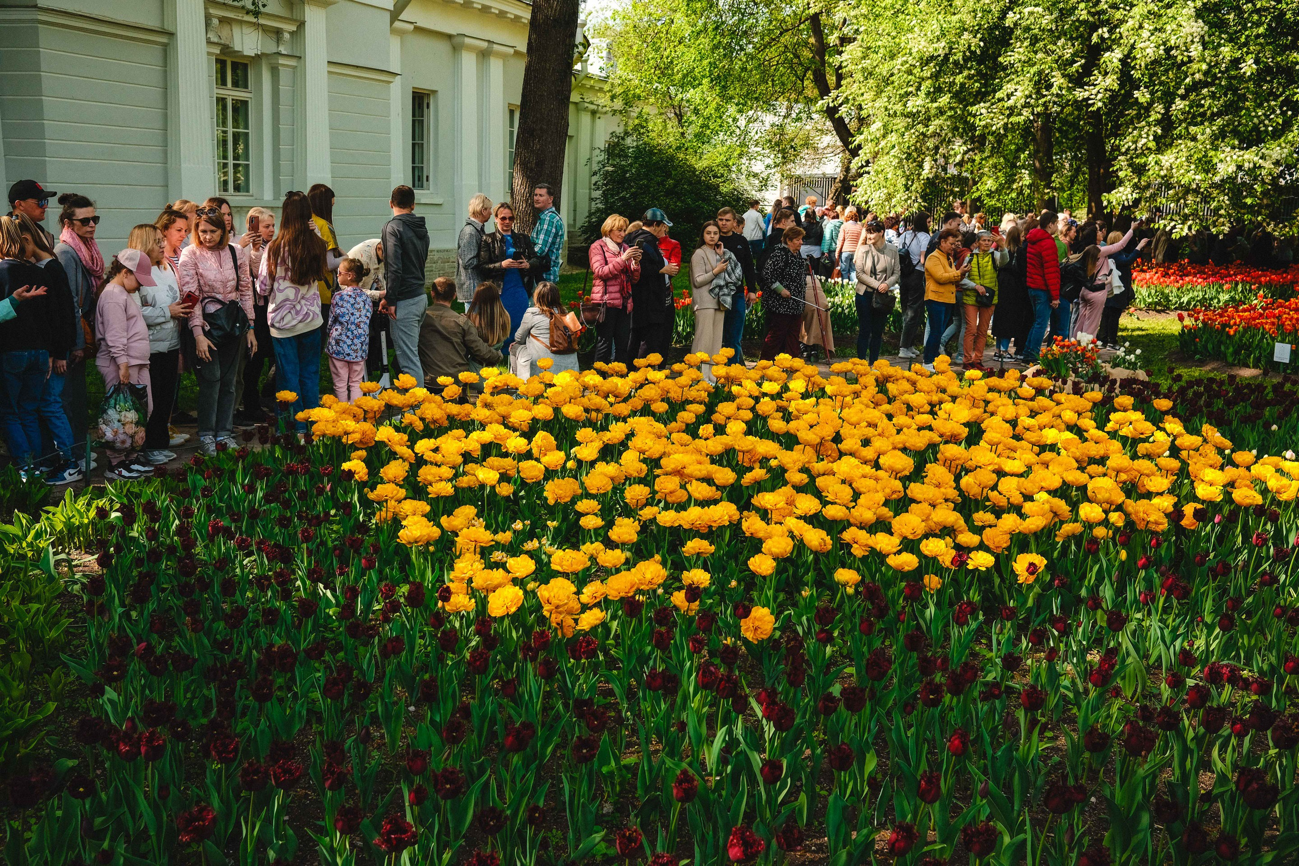 2023.05. Фотограф Алексей Алексеев