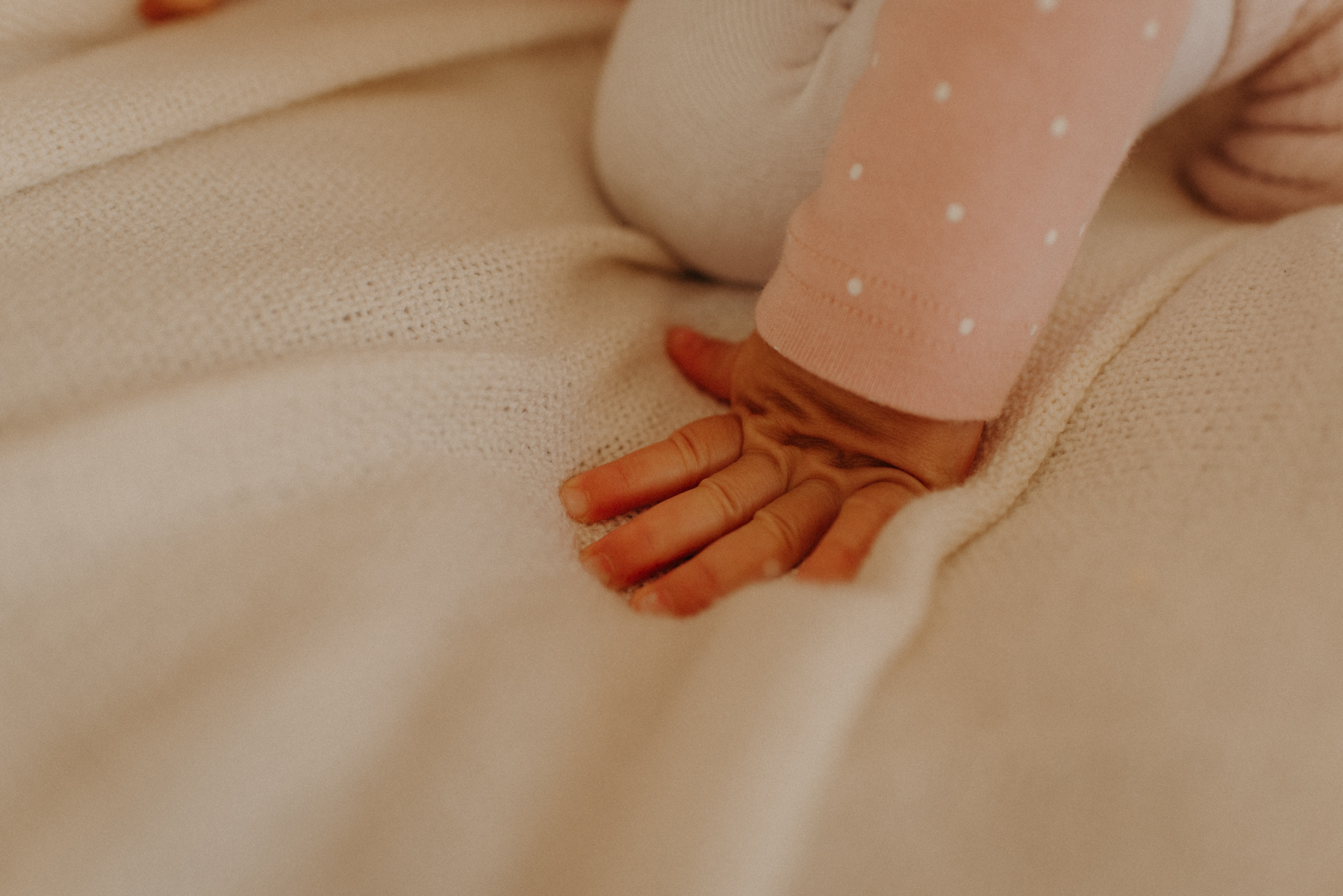 семейная новогодняя фотосессия в студии