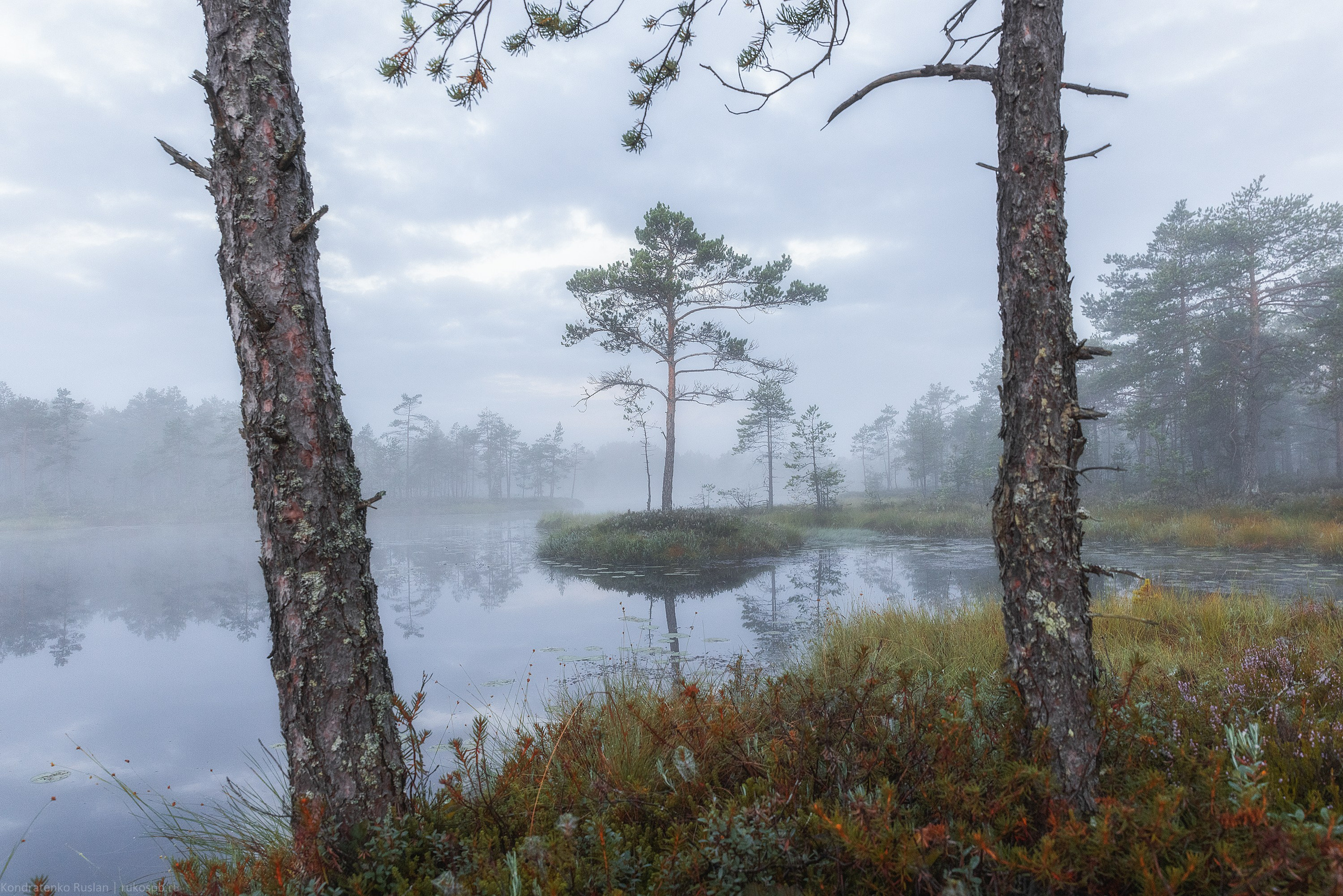 Ленинградская область. Архитектурный и пейзажный фотограф Кондратенко Руслан, Санкт-Петербург