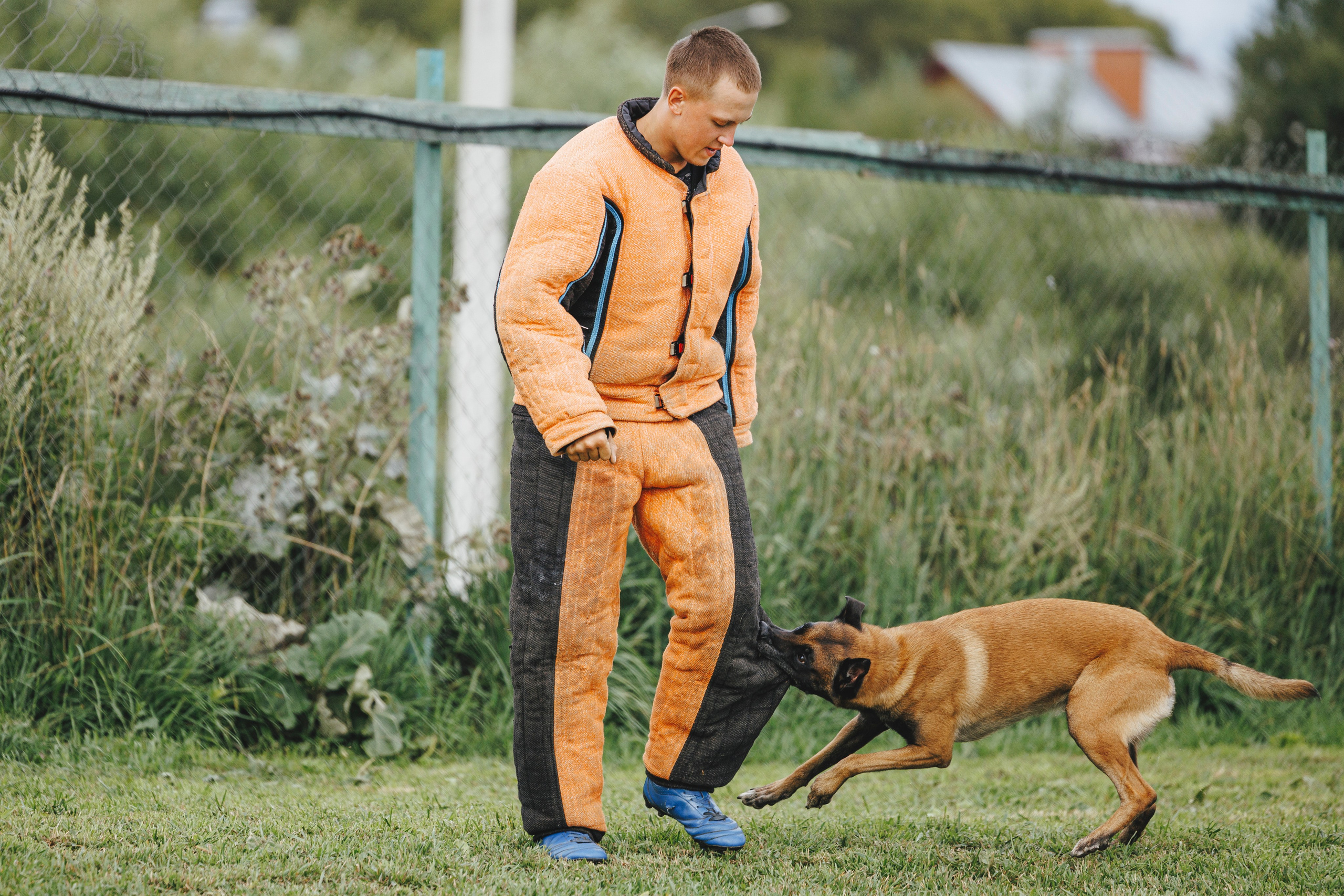 08.08.25-10.08.25 ЧР по мондьорингу г. Вологда. Фотограф-анималист Анна Маринич