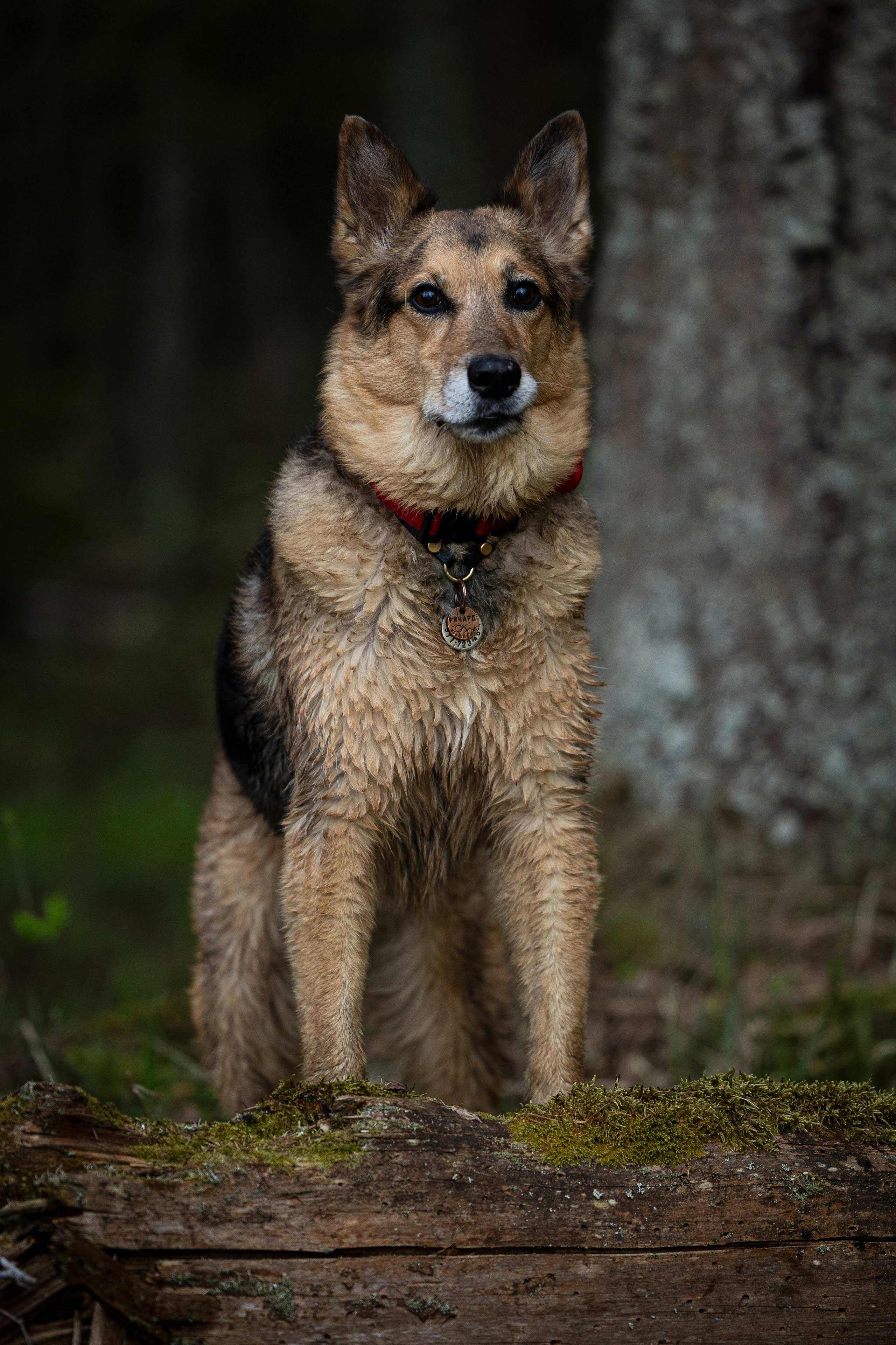 Ричард залив. Фотограф-анималист Анна Маринич