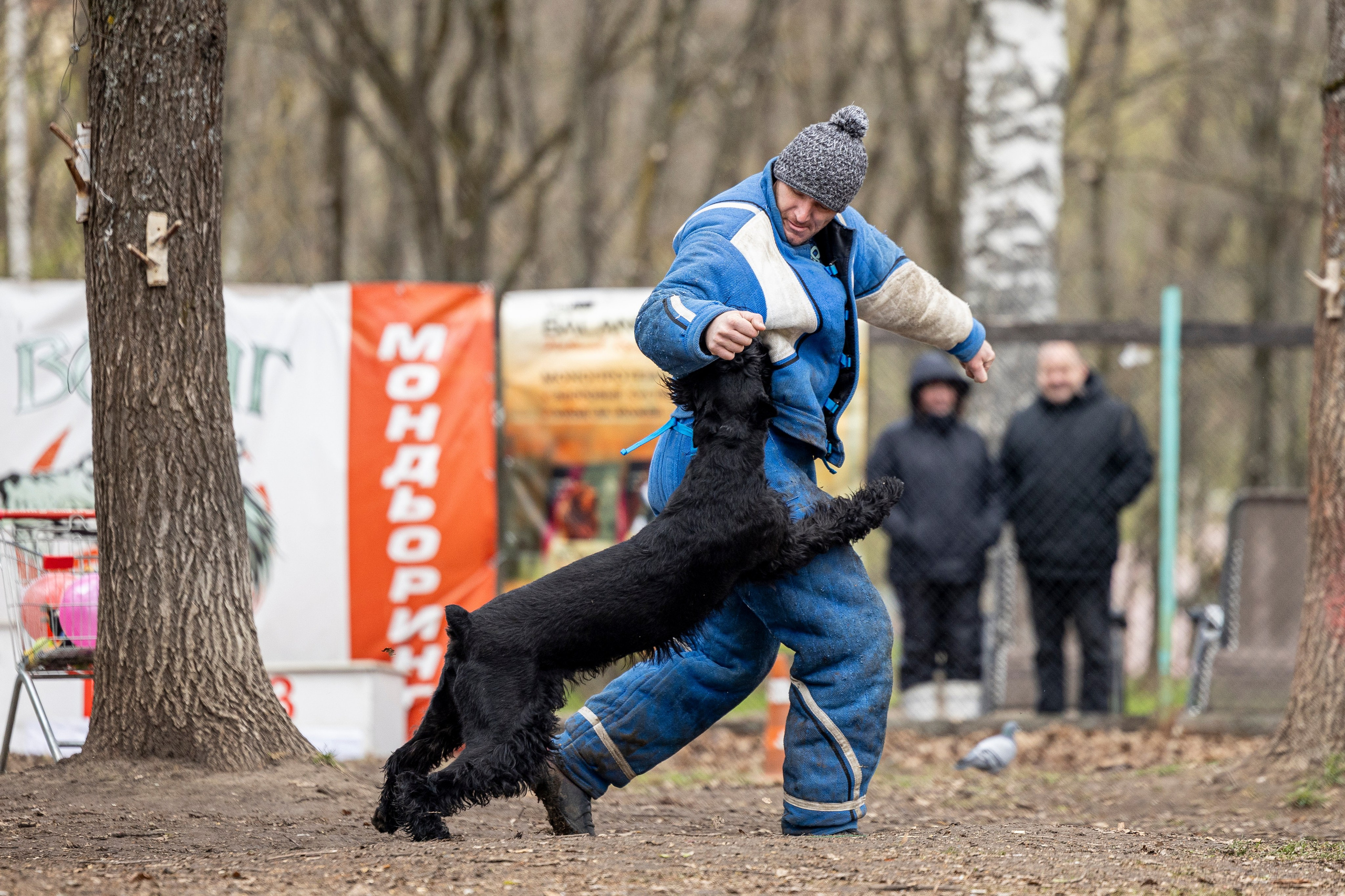 Квалификационные состязания по мондьорингу г. Вологда 11.05.24. Фотограф-анималист Анна Маринич