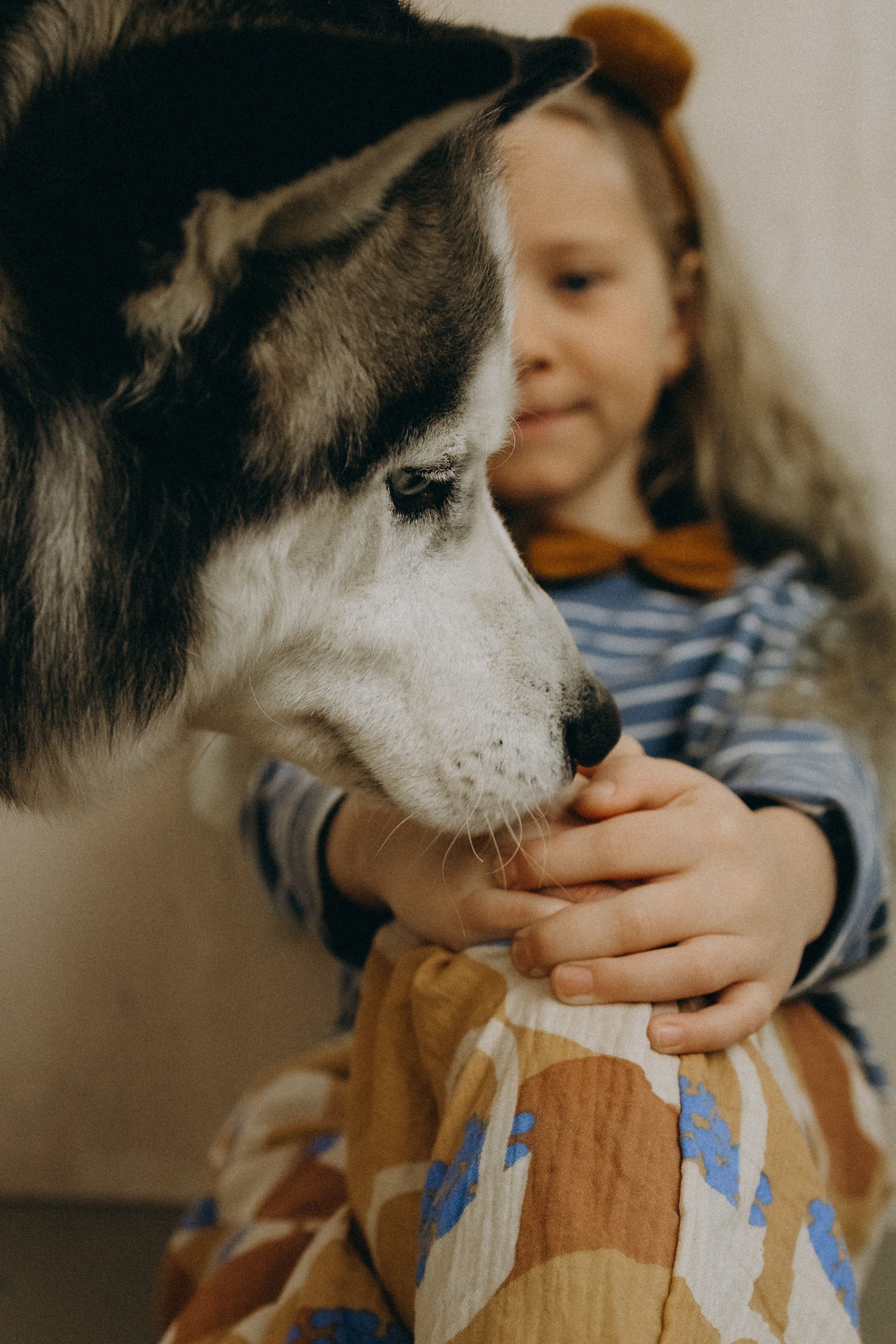 Катя, Лида, Вольт. Главная