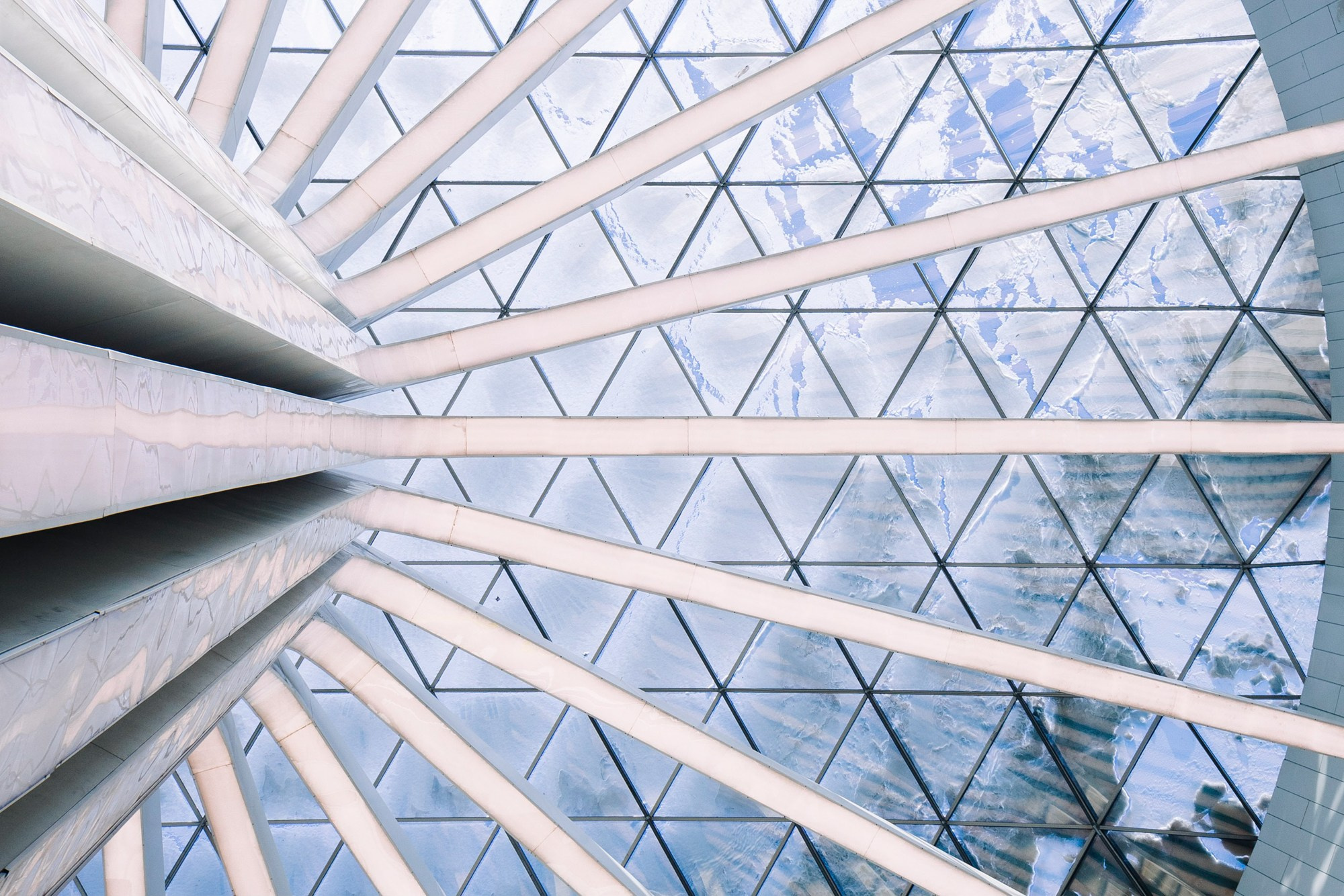 Открытие I Аэропорт Толмачево. Фотограф Новосибирск I Дамдинов Бато