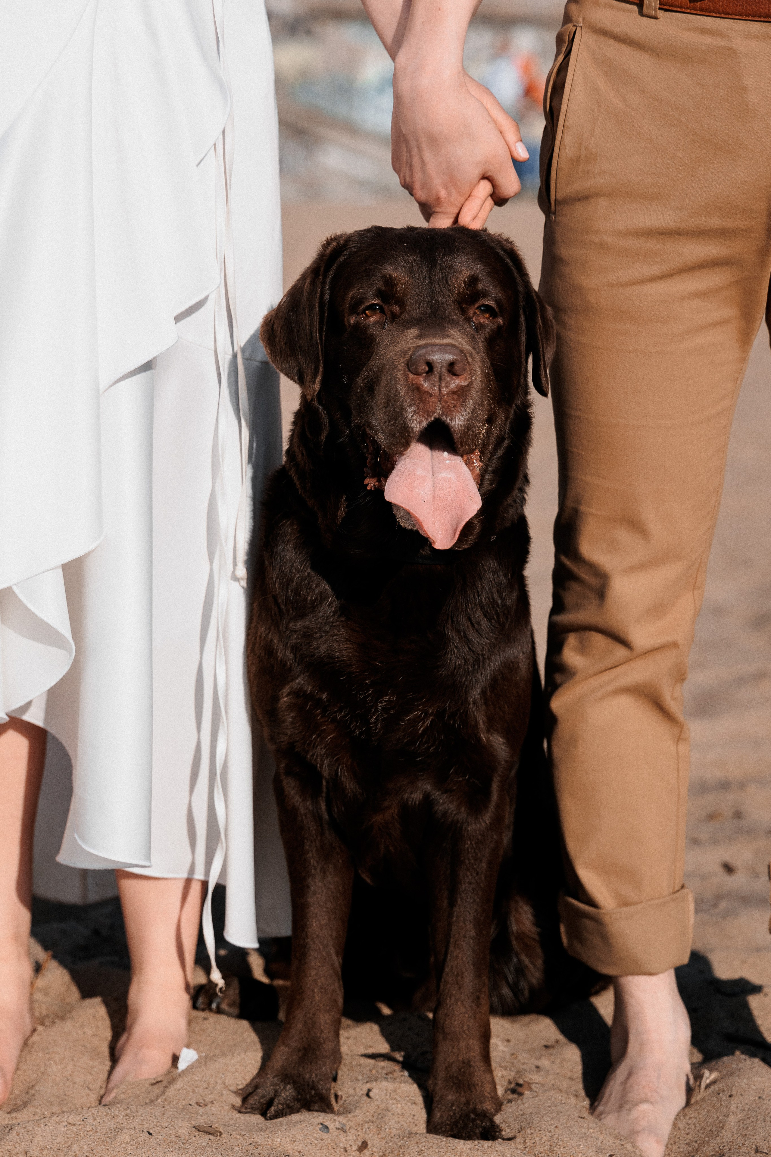Алёна и Андрей. Свадебный и портретный фотограф в Архангельске Илья Труфанов