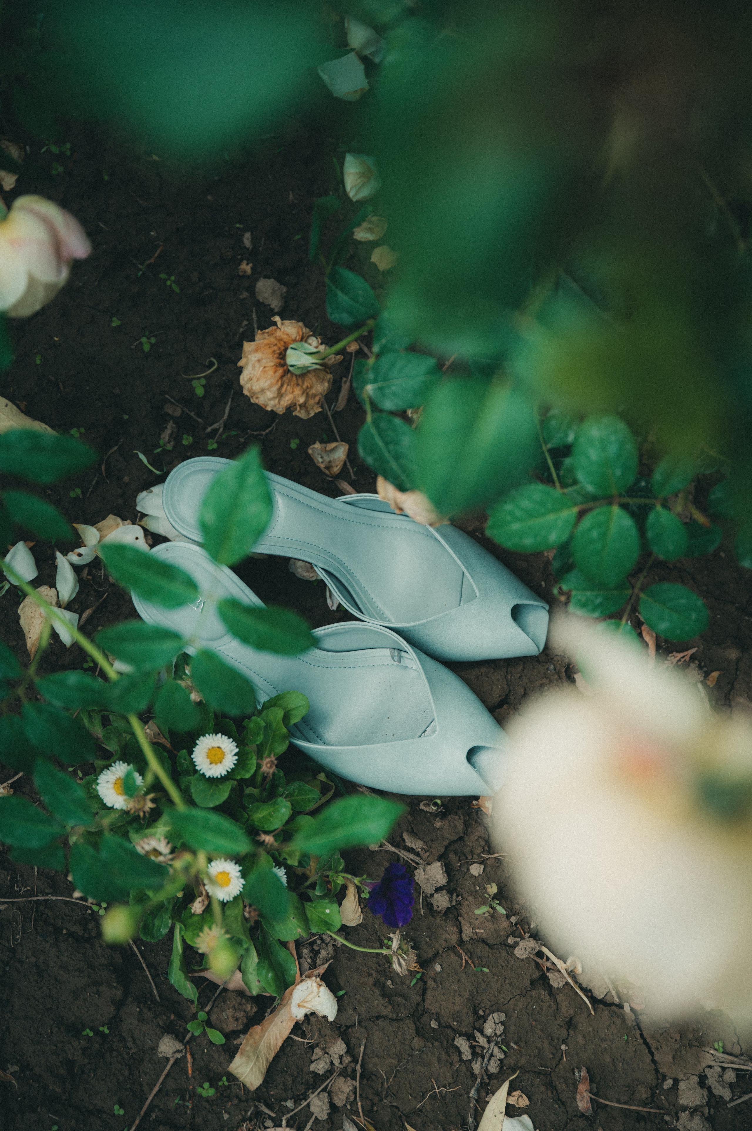 Антонина. Свадебный фотограф в Алматы — Алексей Коньков