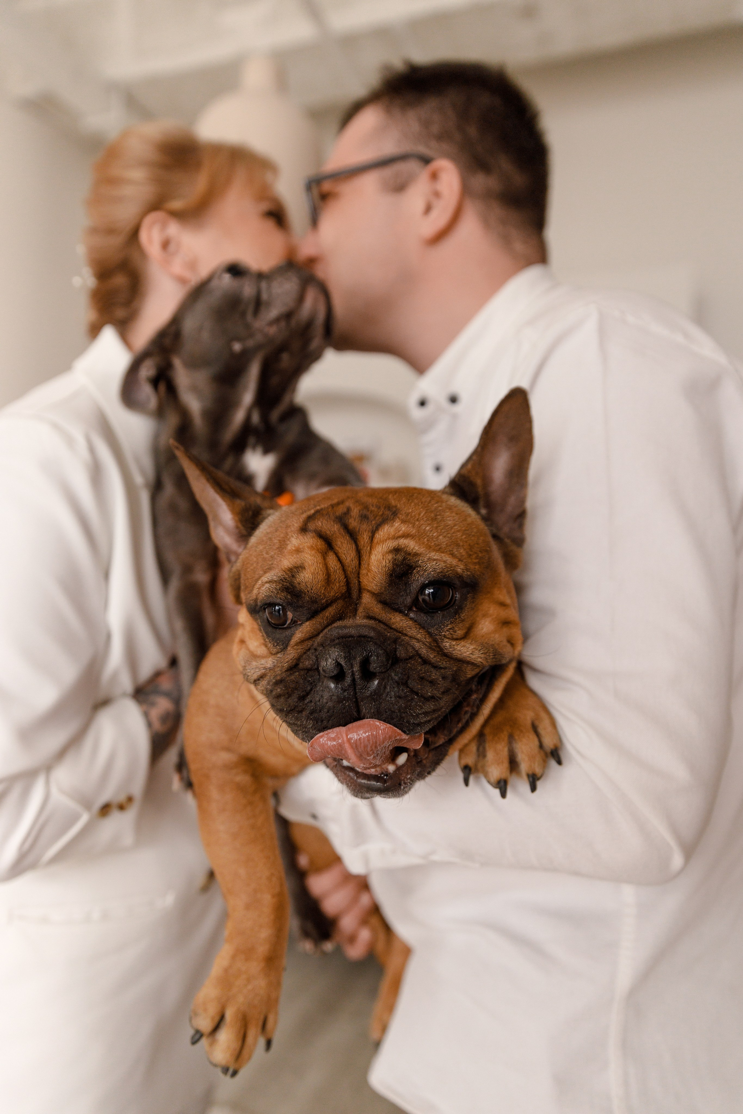 День свадьбы и 2 бульдожика. Авето фото. Выпускные альбомы Камчатка