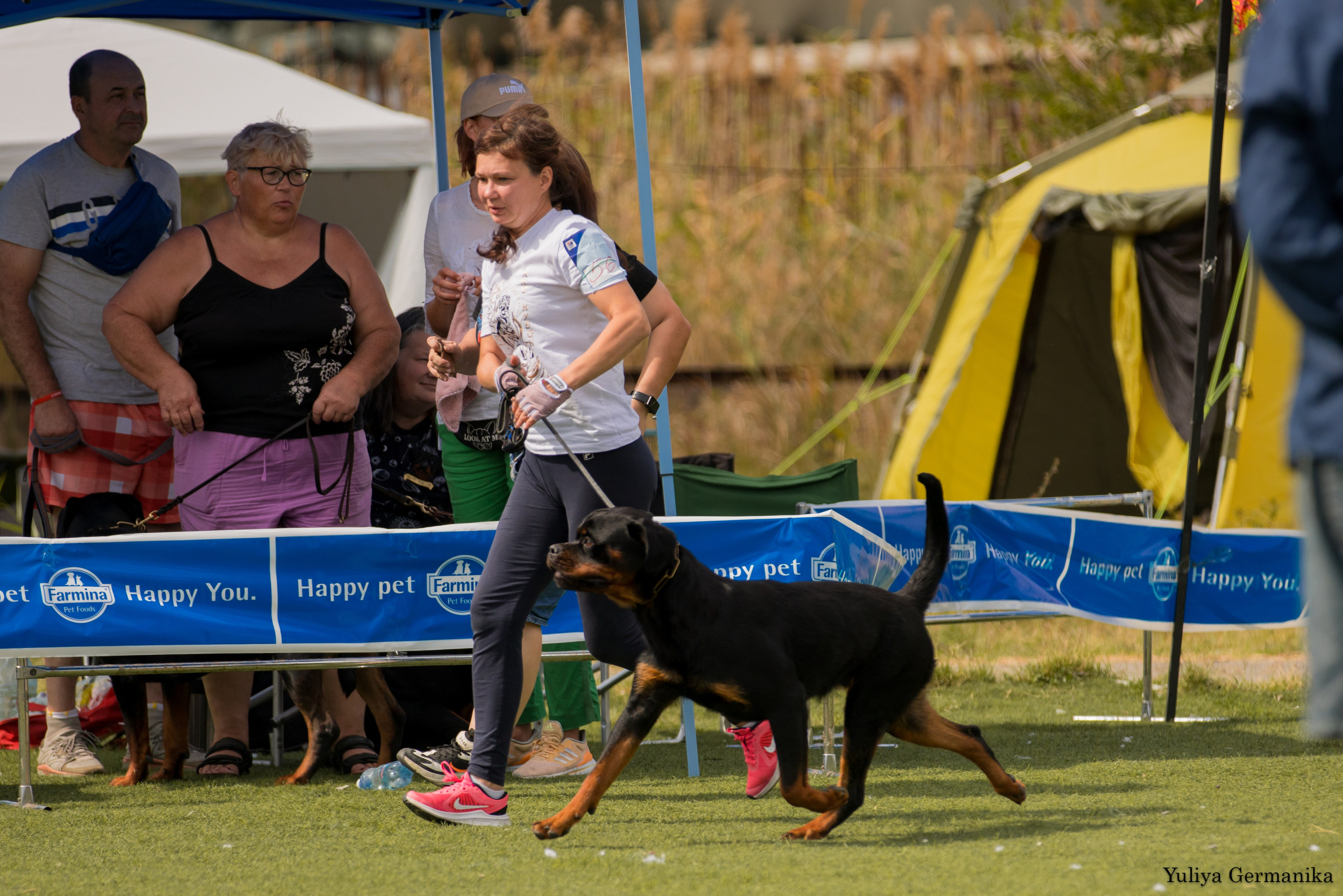 Анапа 16-17.09.2023 моно ротвейлеров. Фотограф-анималист Юлия Германика