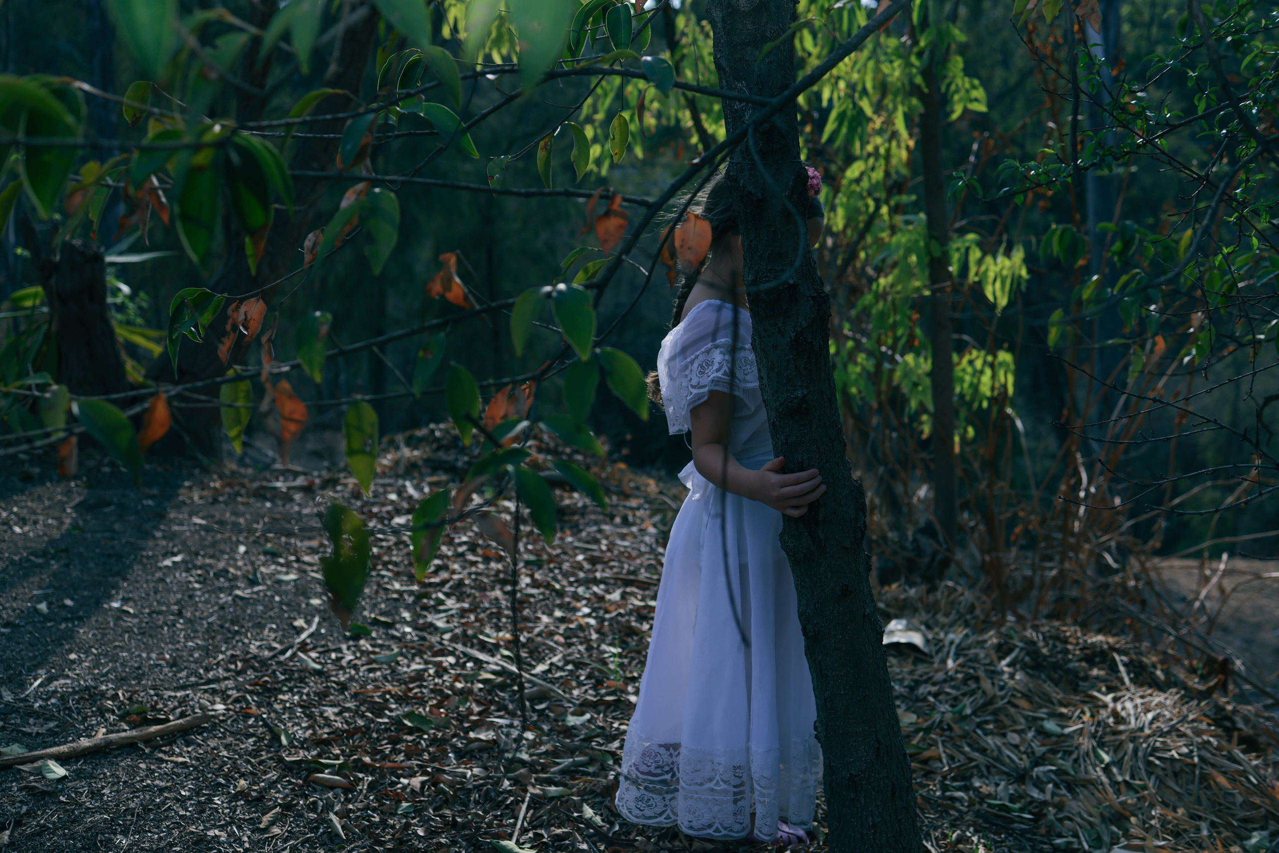 Мексика. Kateserbina