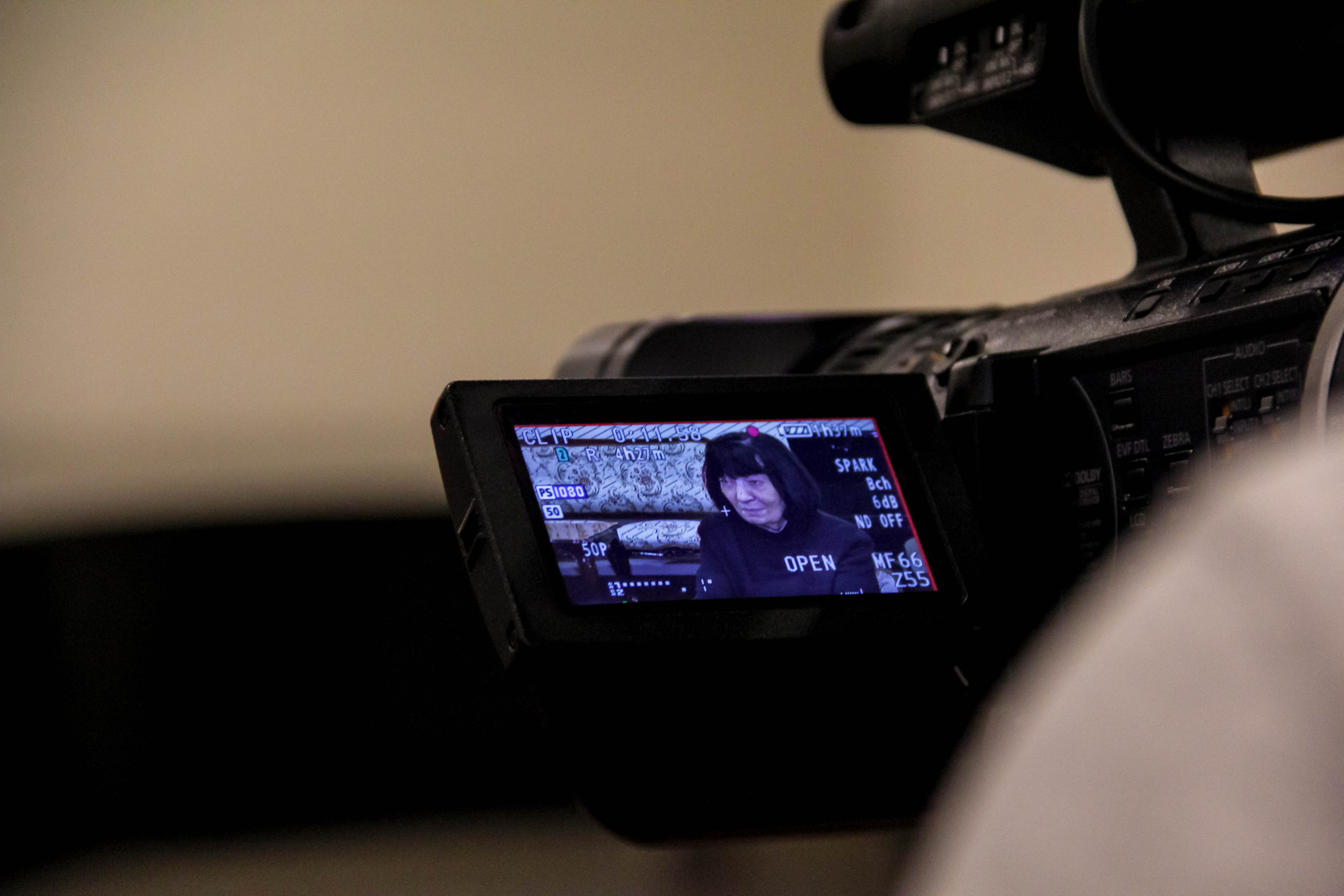 Элисо Вирсаладзе. Главная