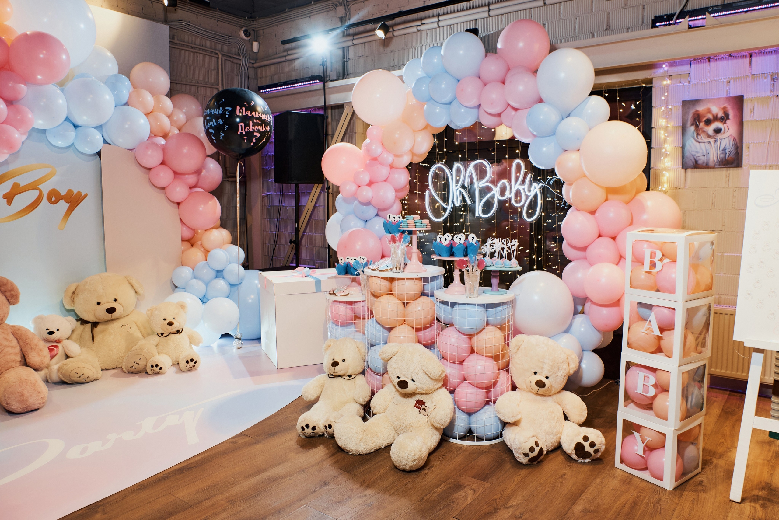 ПАВЛОВЫ gender-party. ФОТОГРАФ Кристина Павлова | МОСКВА