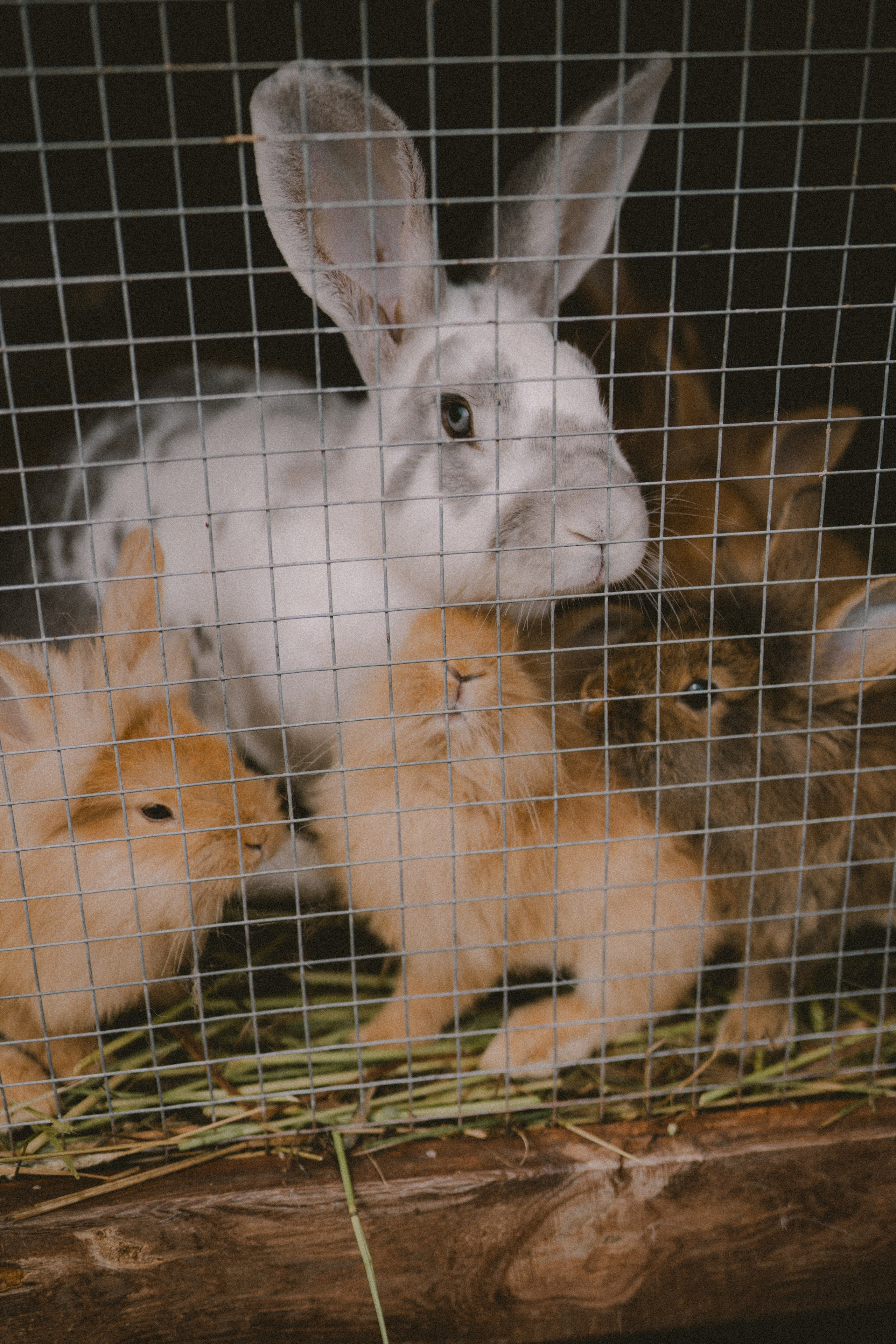 Санкт-Петербург. Фотограф Екатерина Катунова | Москва