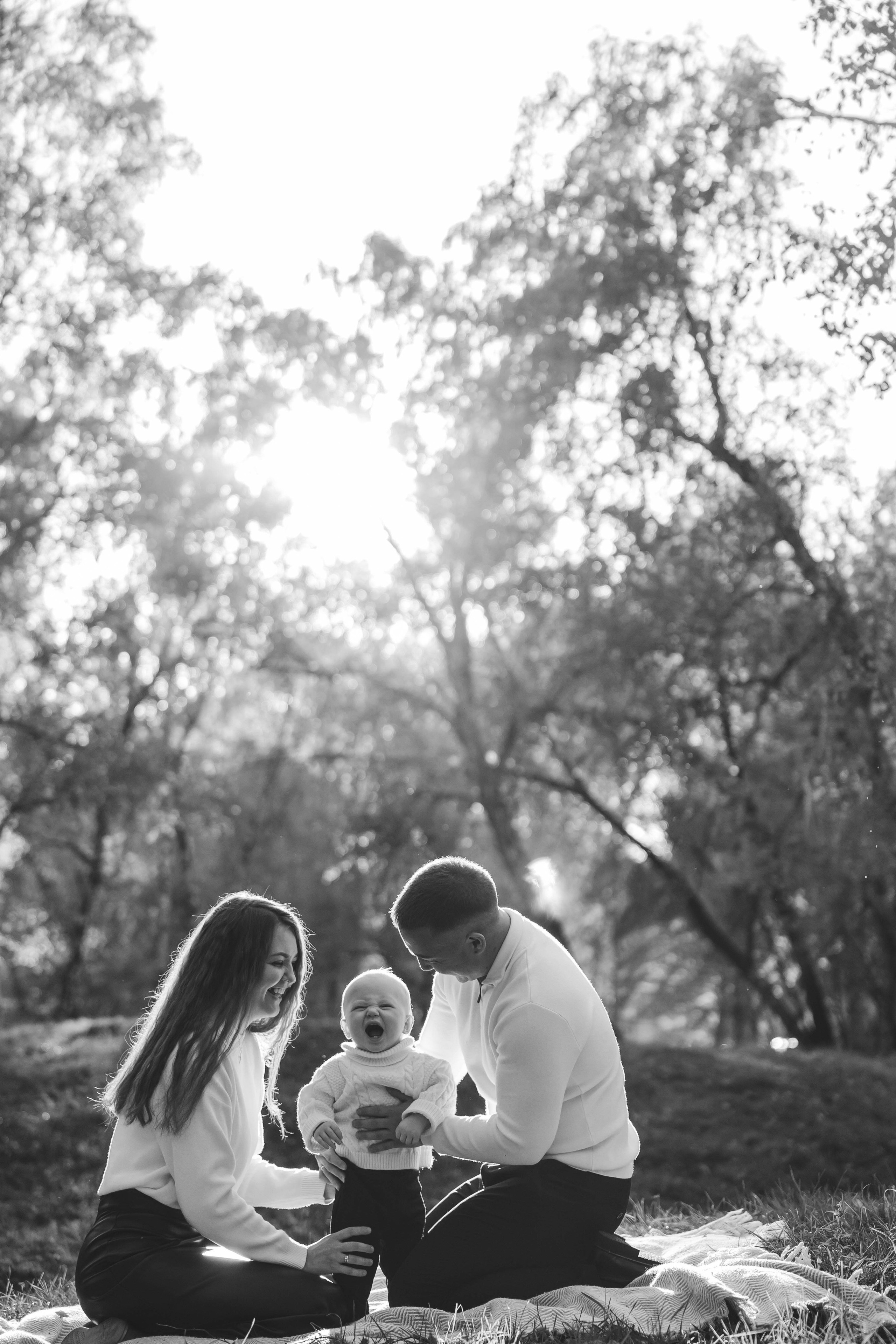 Богдан. Главная