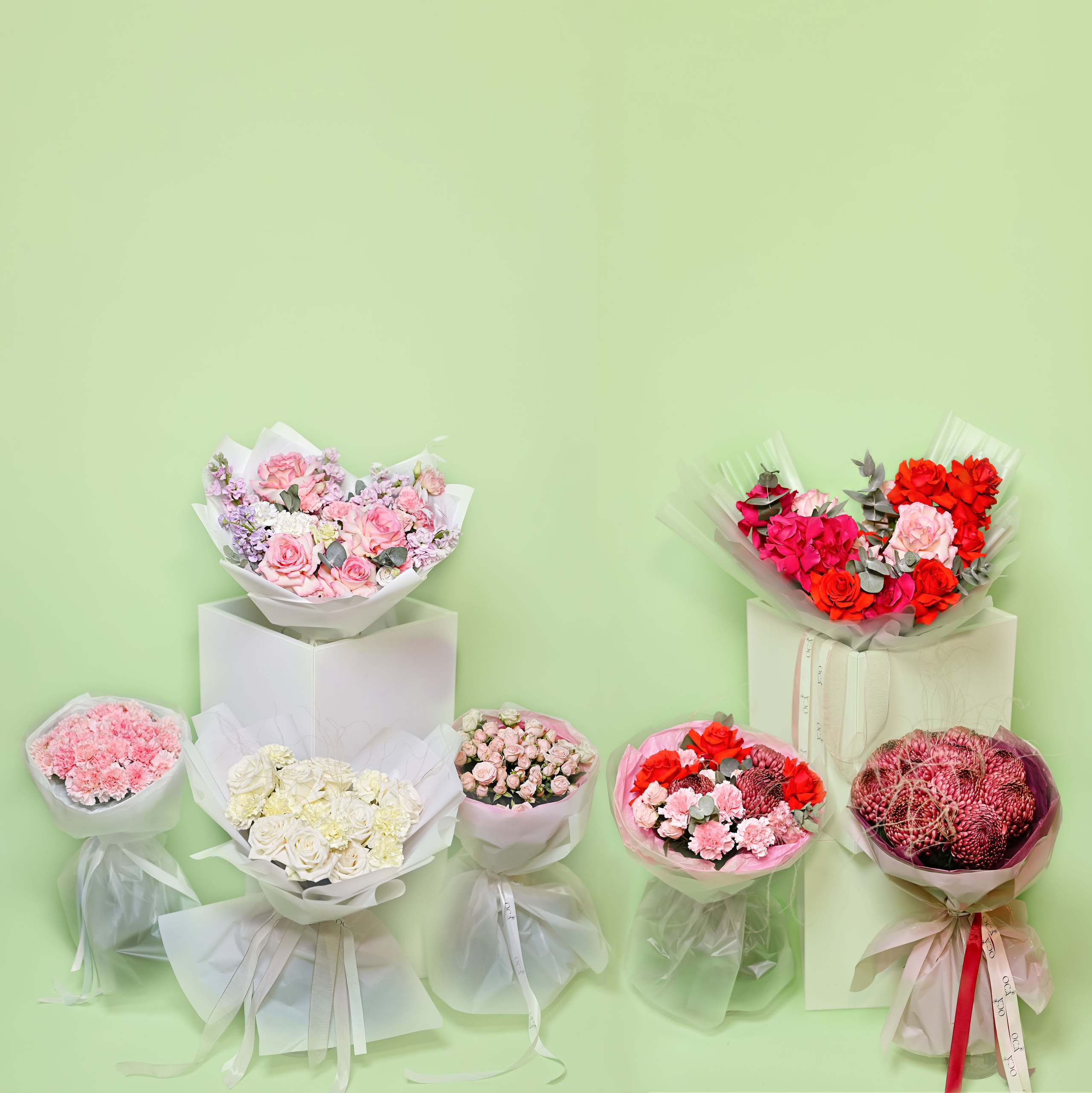 . ZDARONOKIA Репортажный фотограф