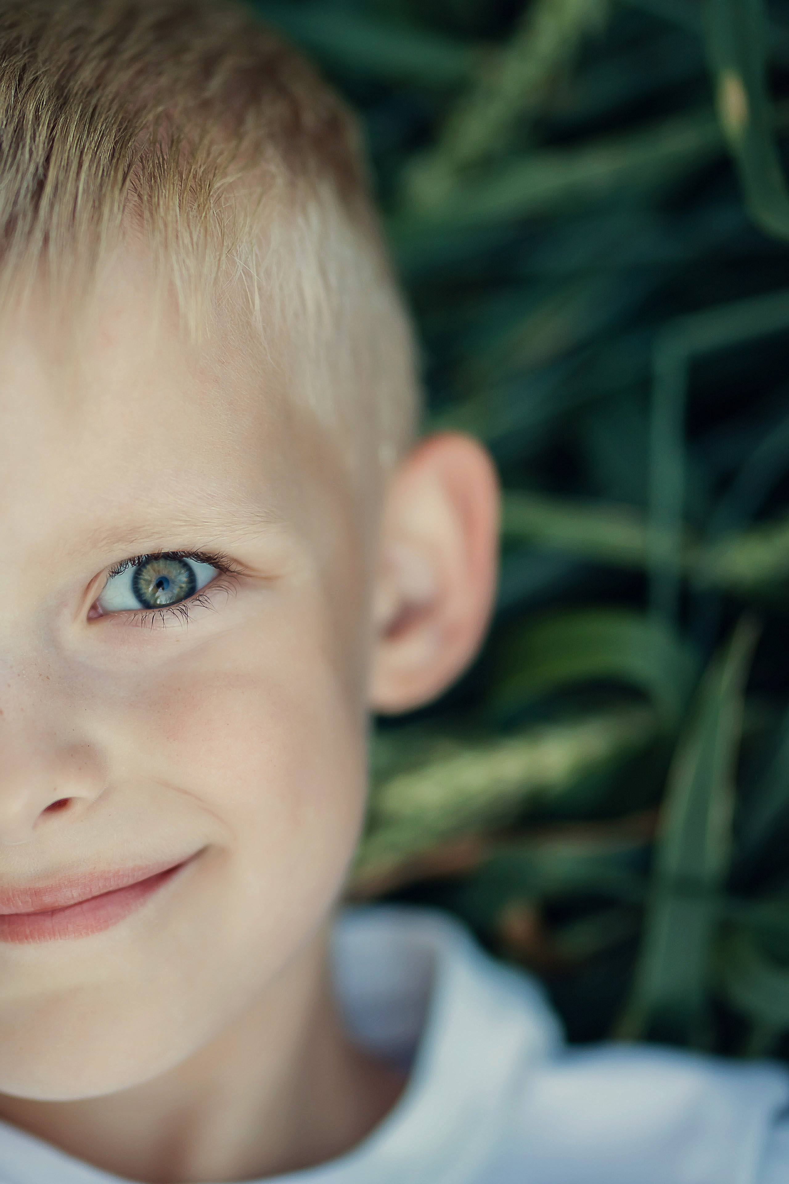 Август). Сайт