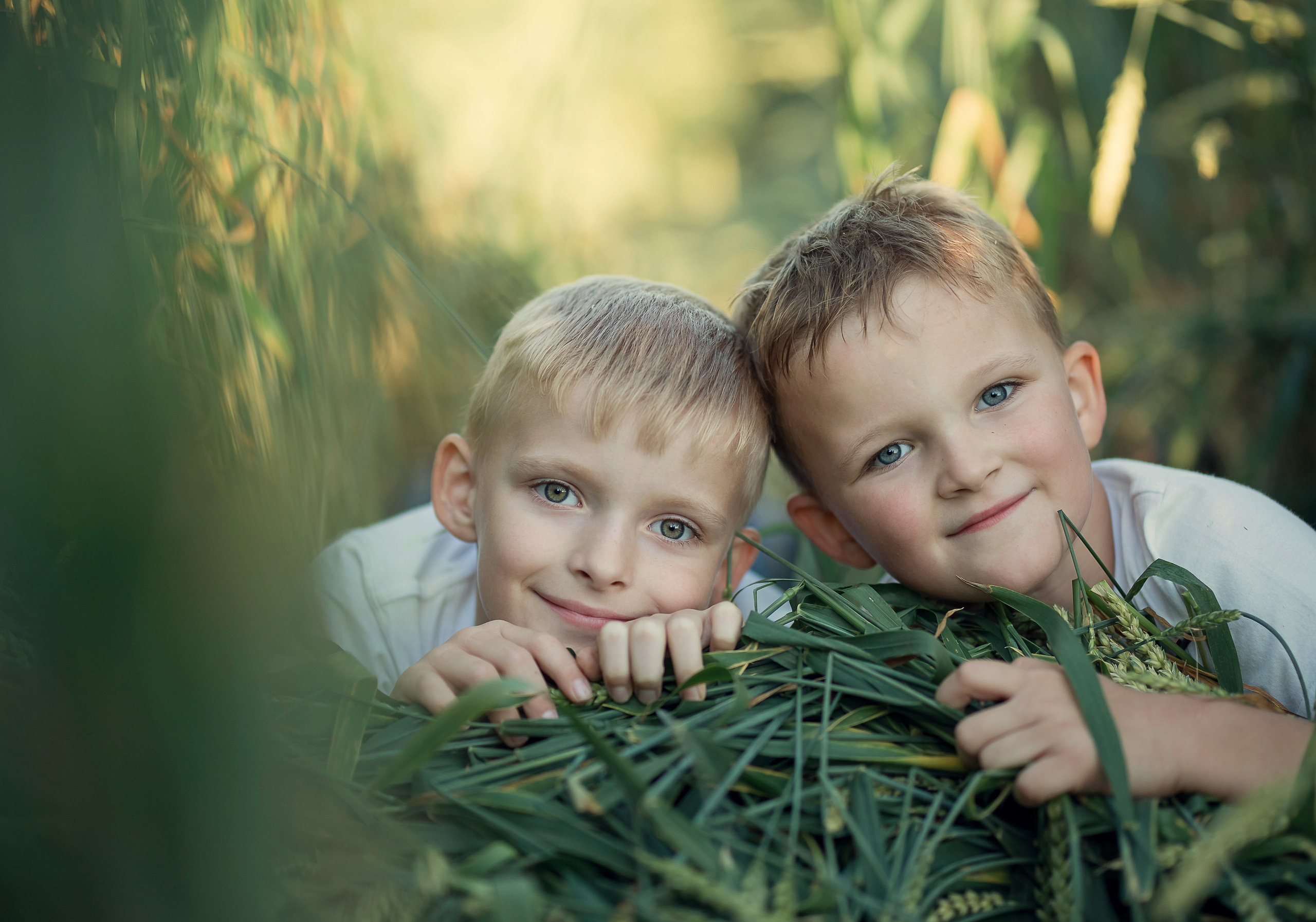Август). Сайт