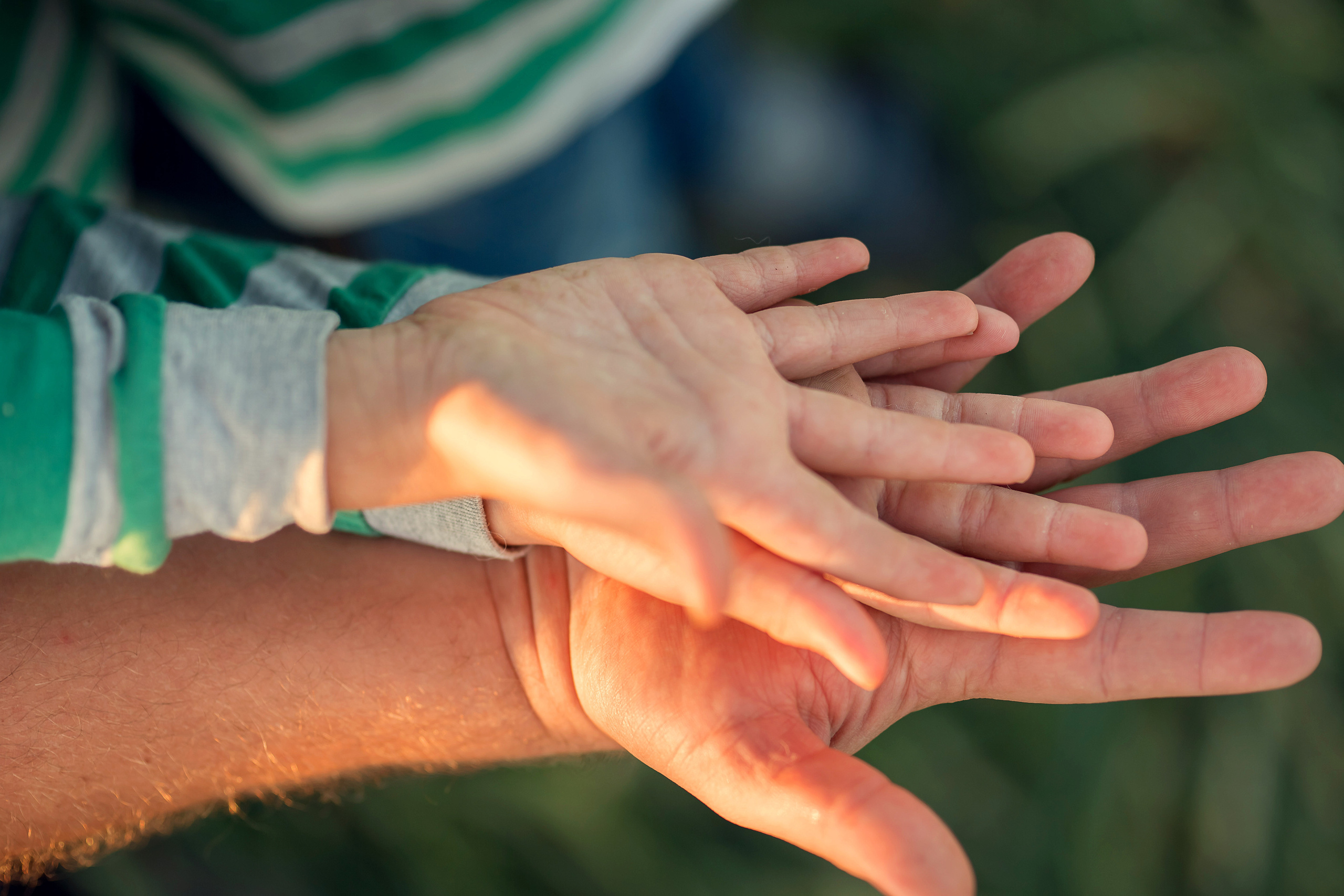 Август). Сайт