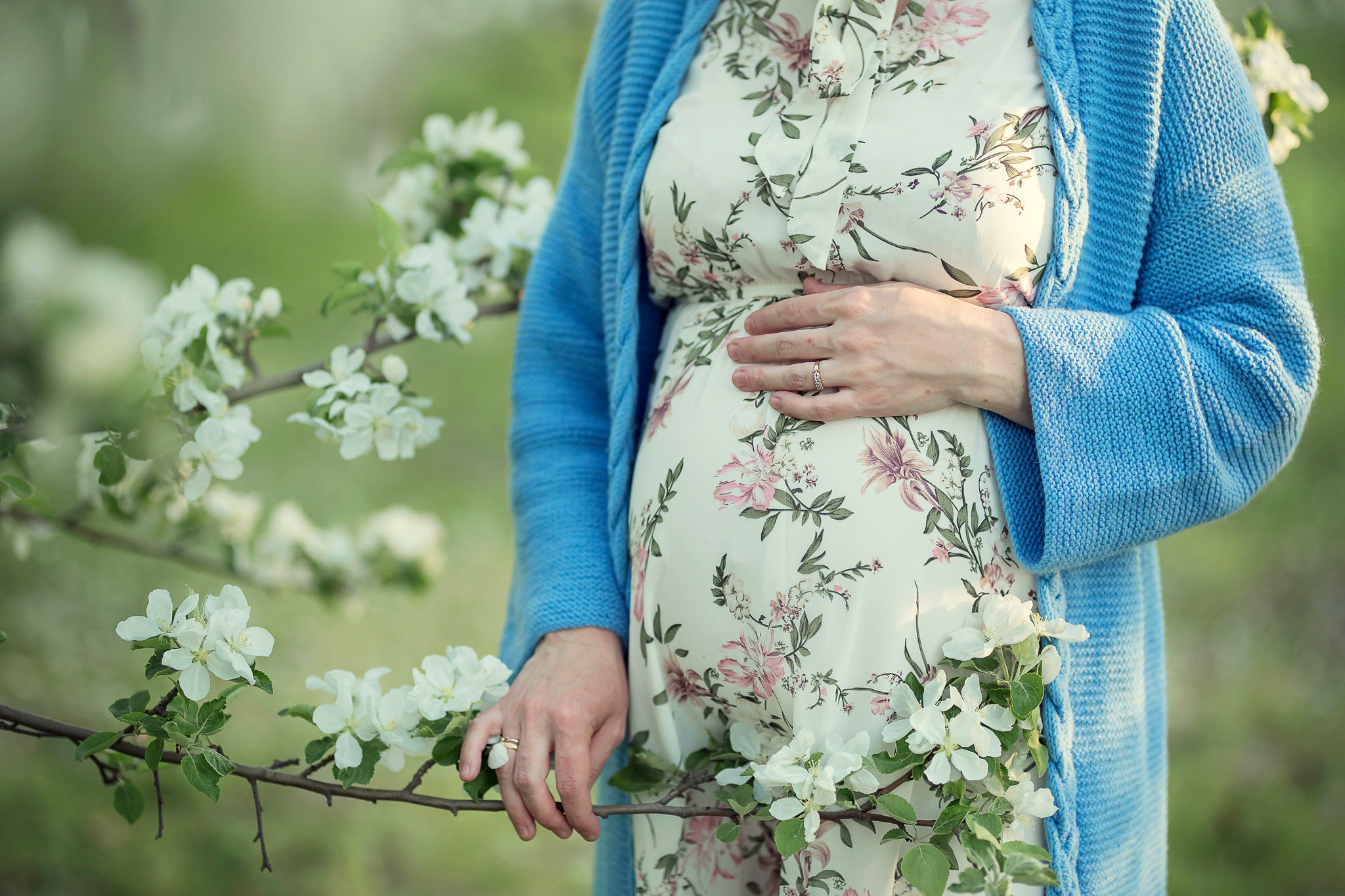 В цветении. Сайт