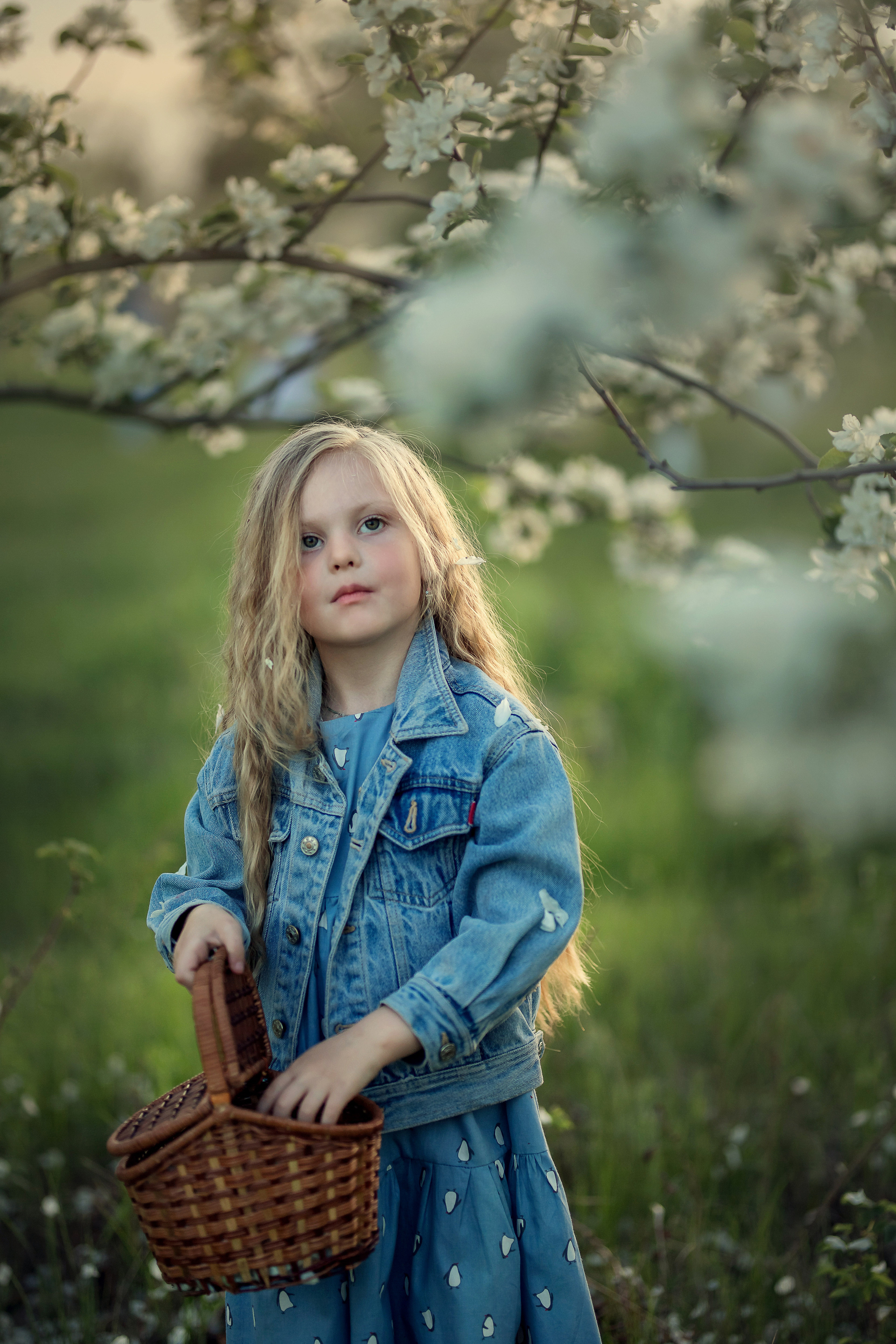 В цветении. Сайт