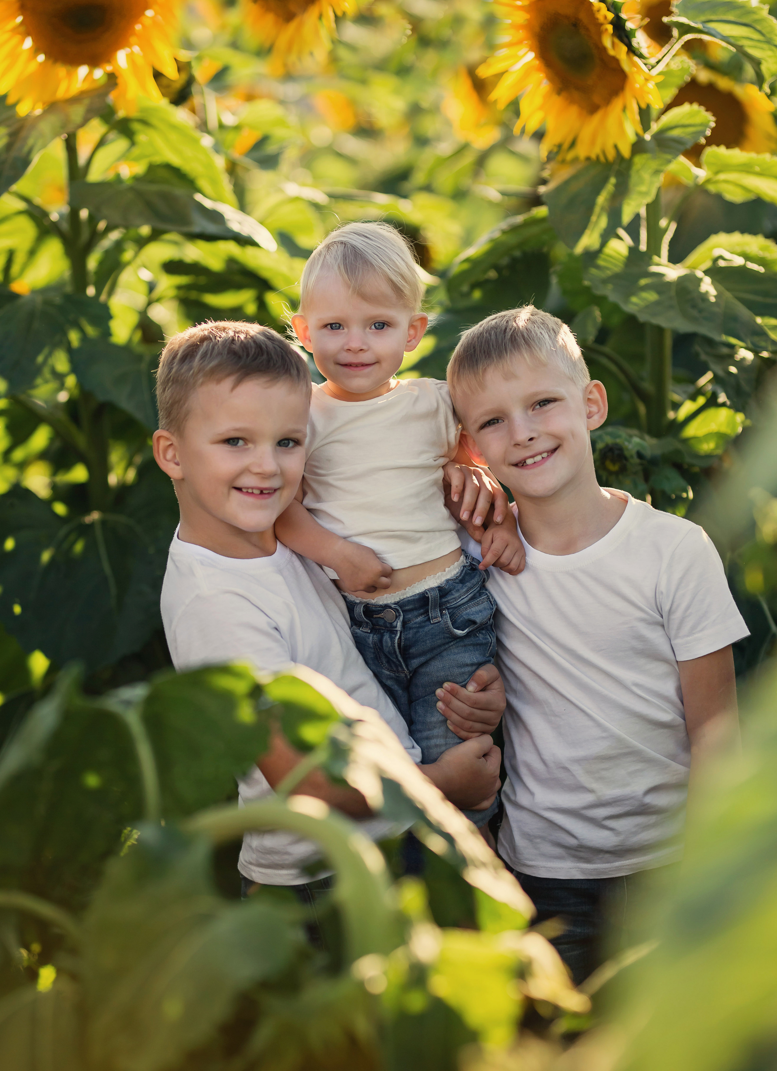 Август). Сайт
