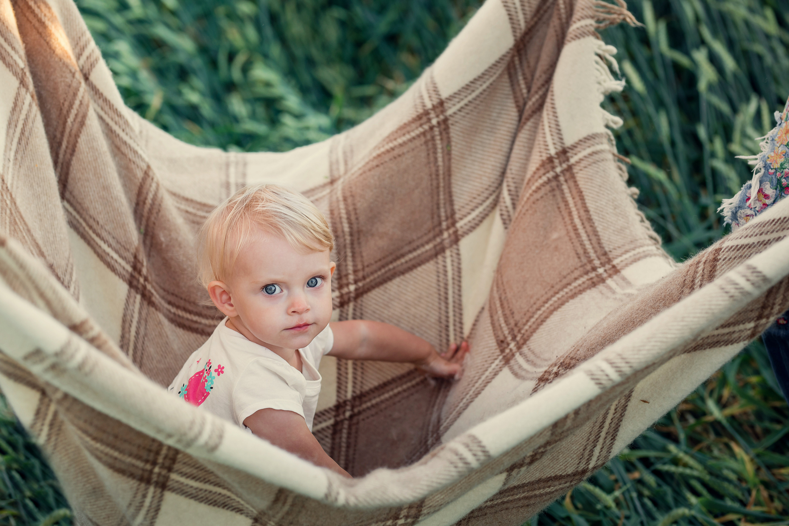 Август). Сайт