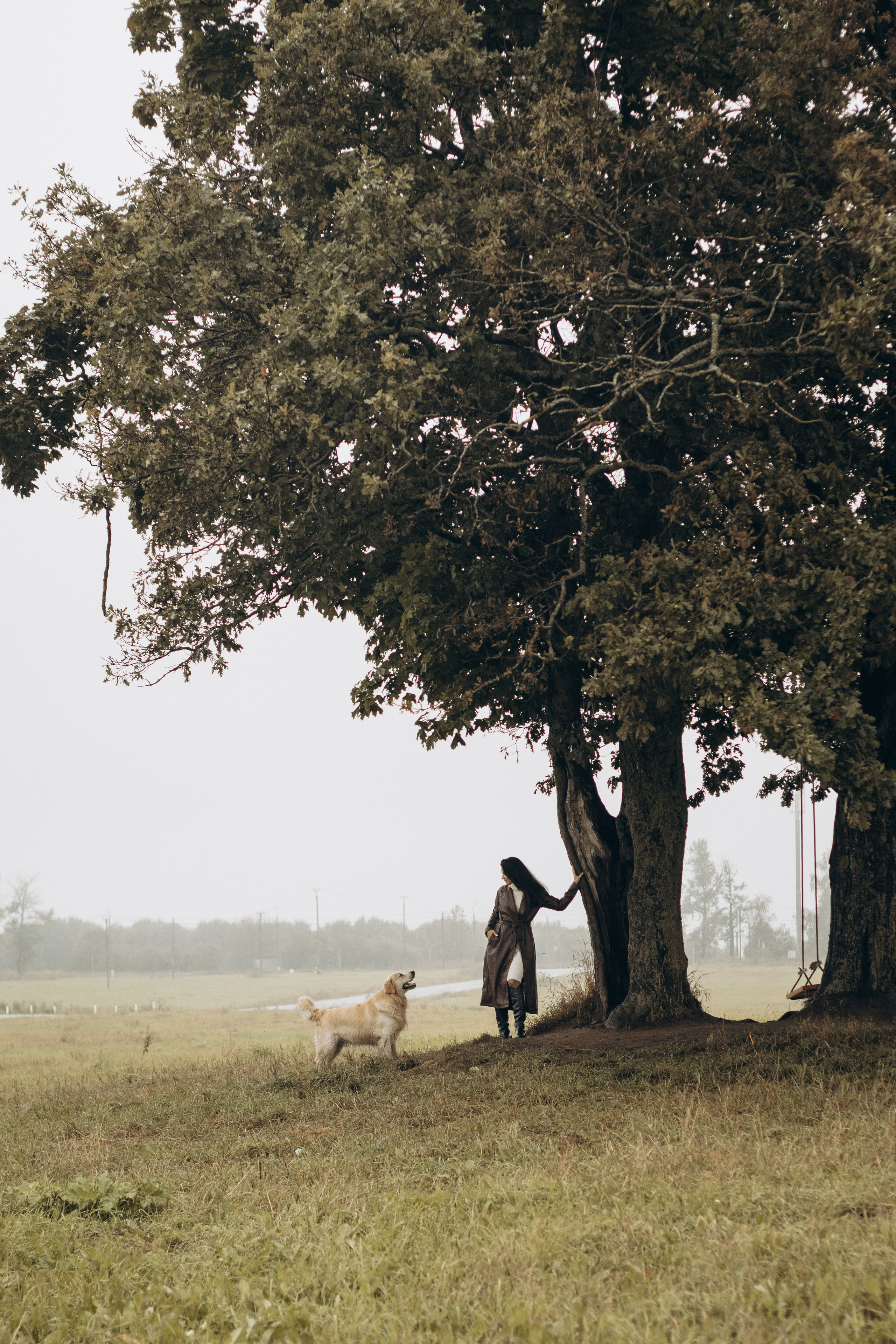 Фотограф-анималист в Санкт-Петербурге