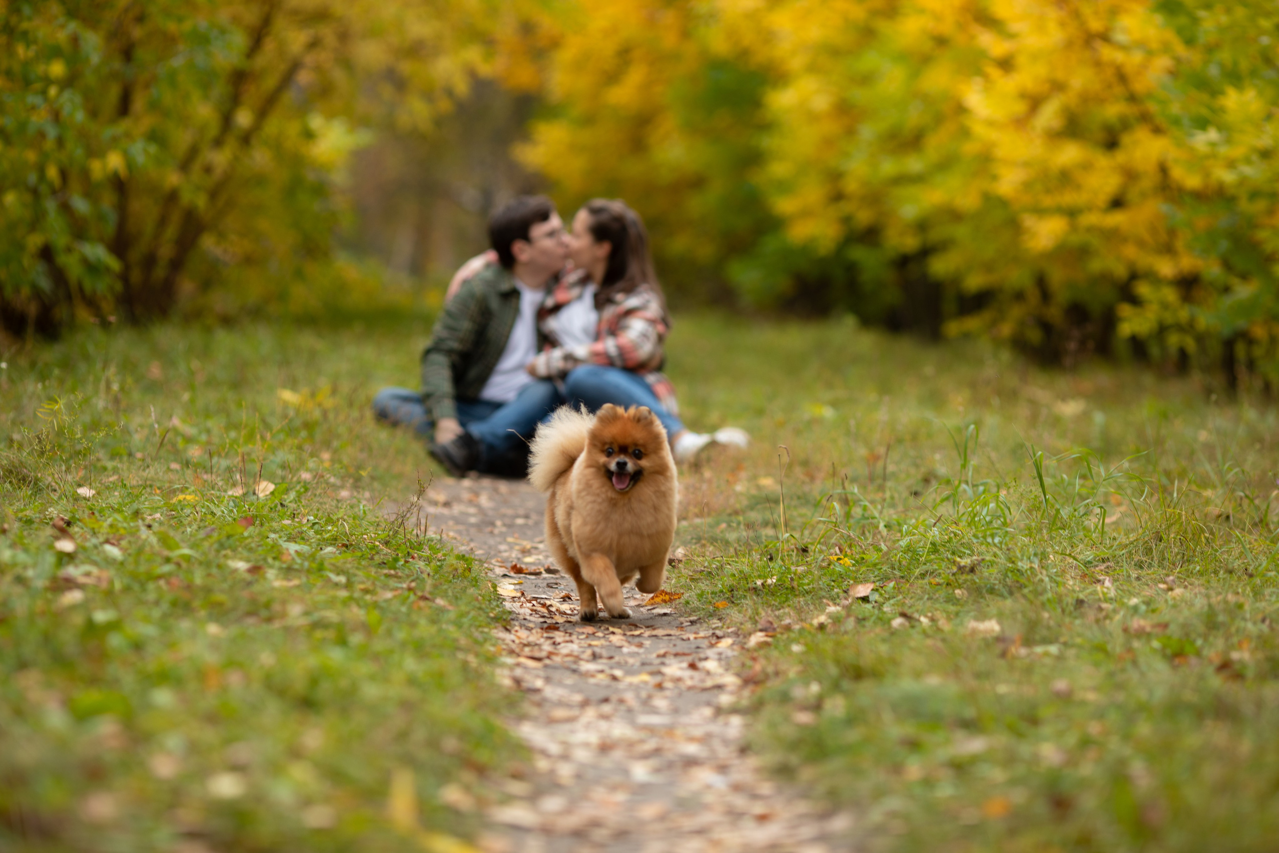 Love story. Фотограф в Омске
