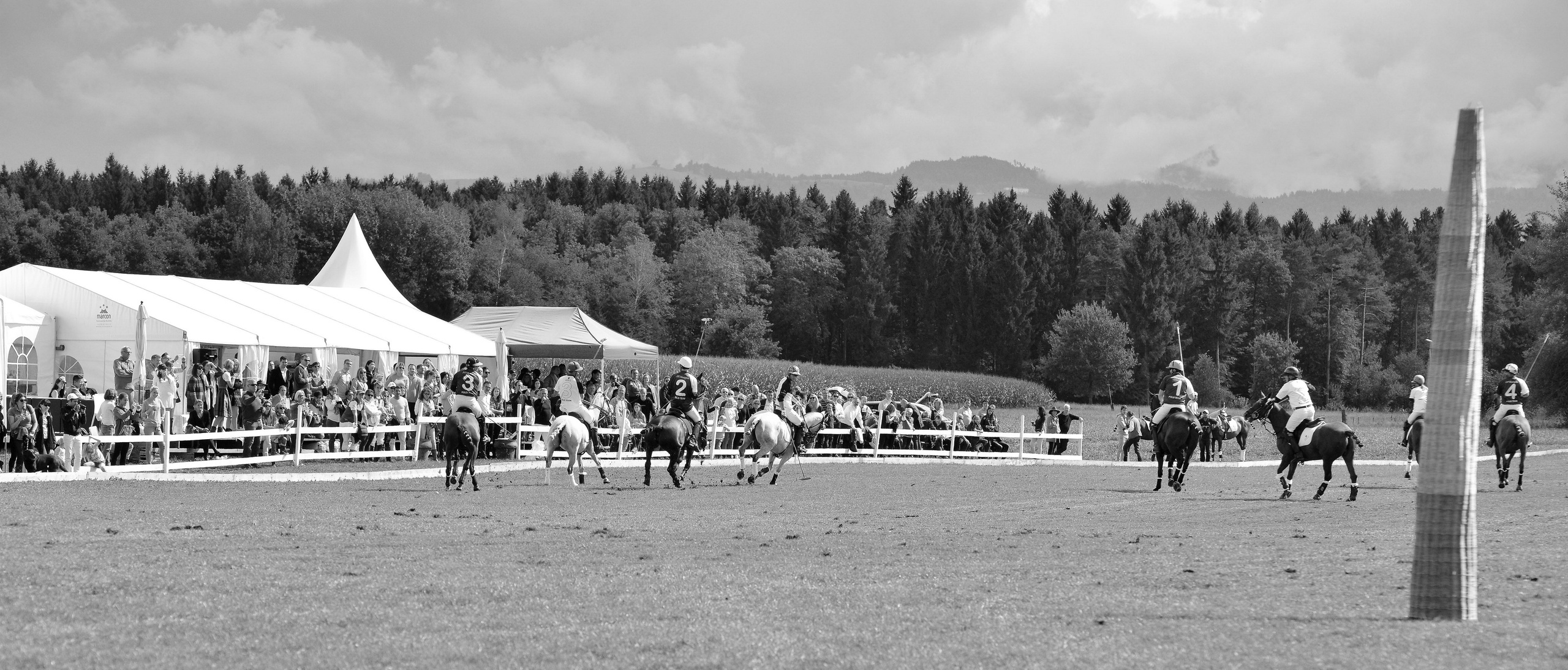 Polo art photos. Art photos of horses — ARTUR BABOEV | Photographer