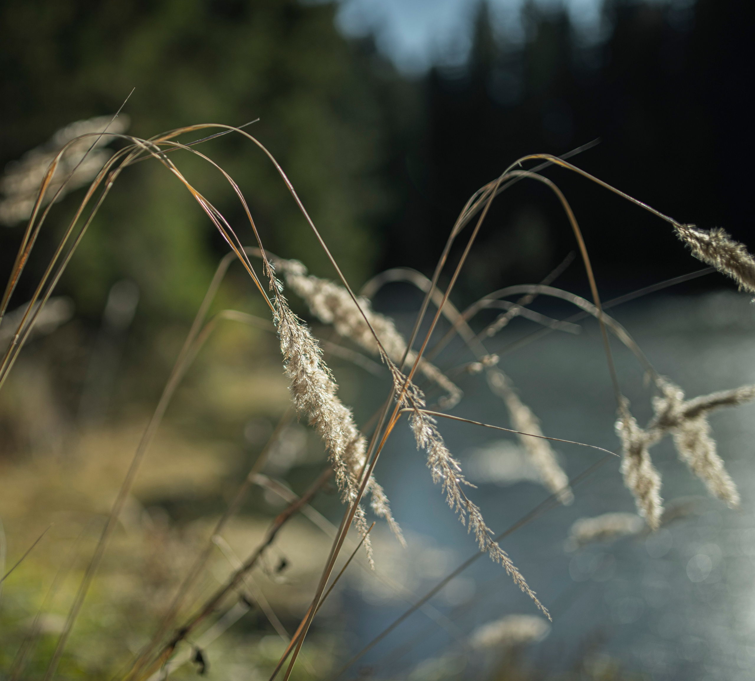Портфолио. Сергей Люльченко фотоальбом