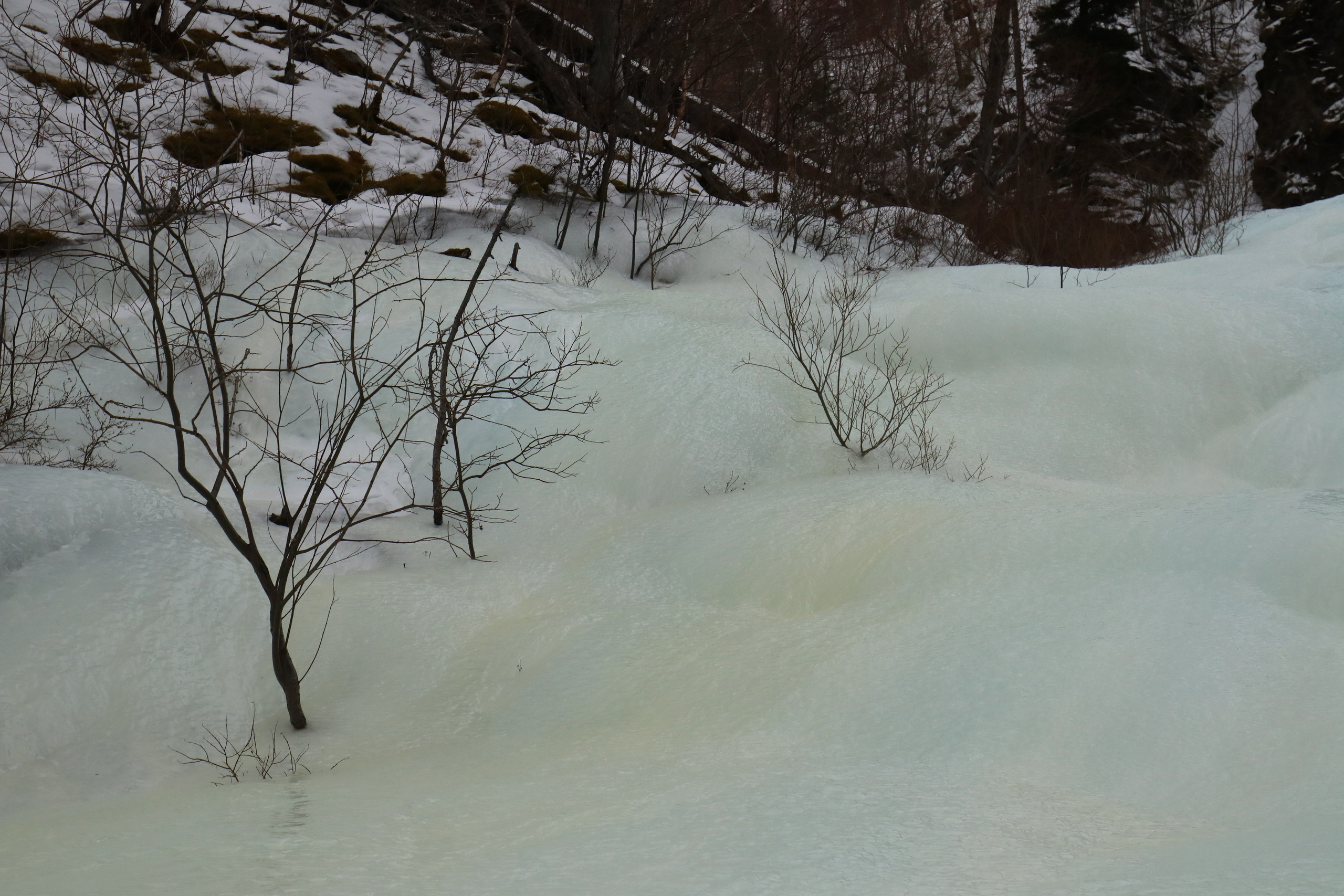 Аршан. Март 2023. Путешественник-фотограф из Санкт-Петербурга Татьяна Свистулина