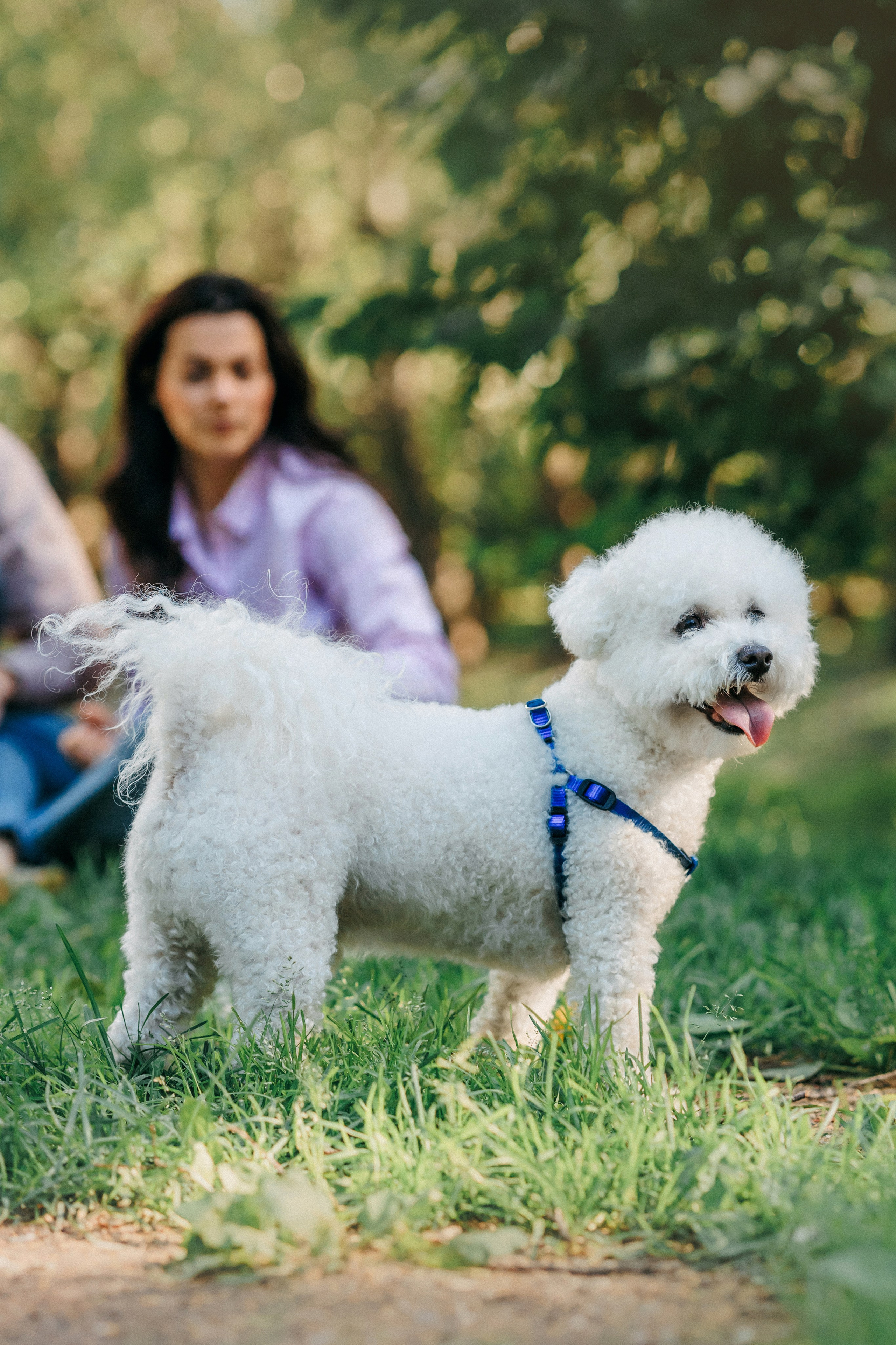 Марина, Данил и Бруно. Фотограф-анималист Елена Радченко, Москва