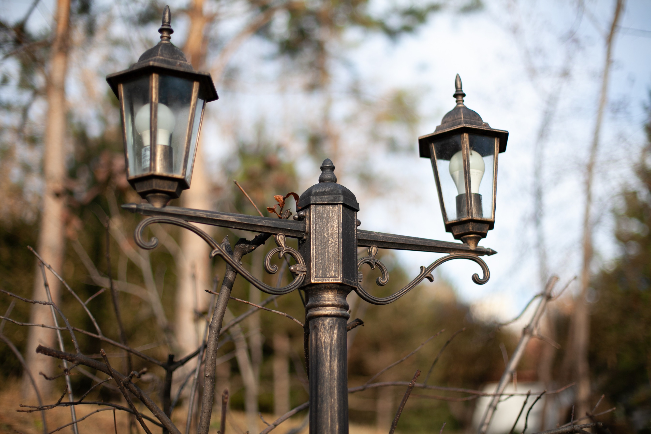 Сады Мечты. Контент для сайта. Фотограф Дарья Локотко в Красноярске