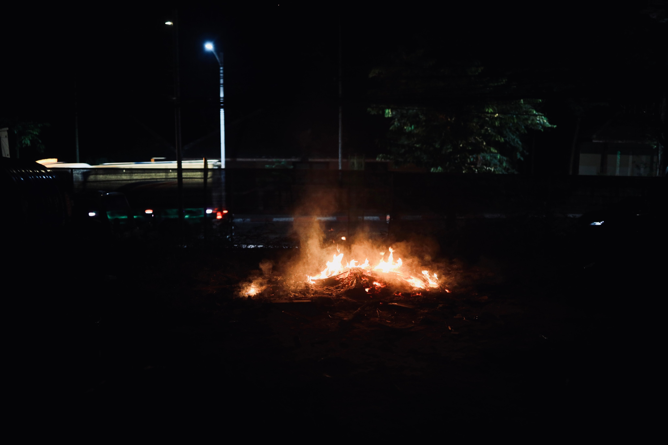 Night inhabitants of Samui Island / Thailand 2024. POLINA MÔMOT