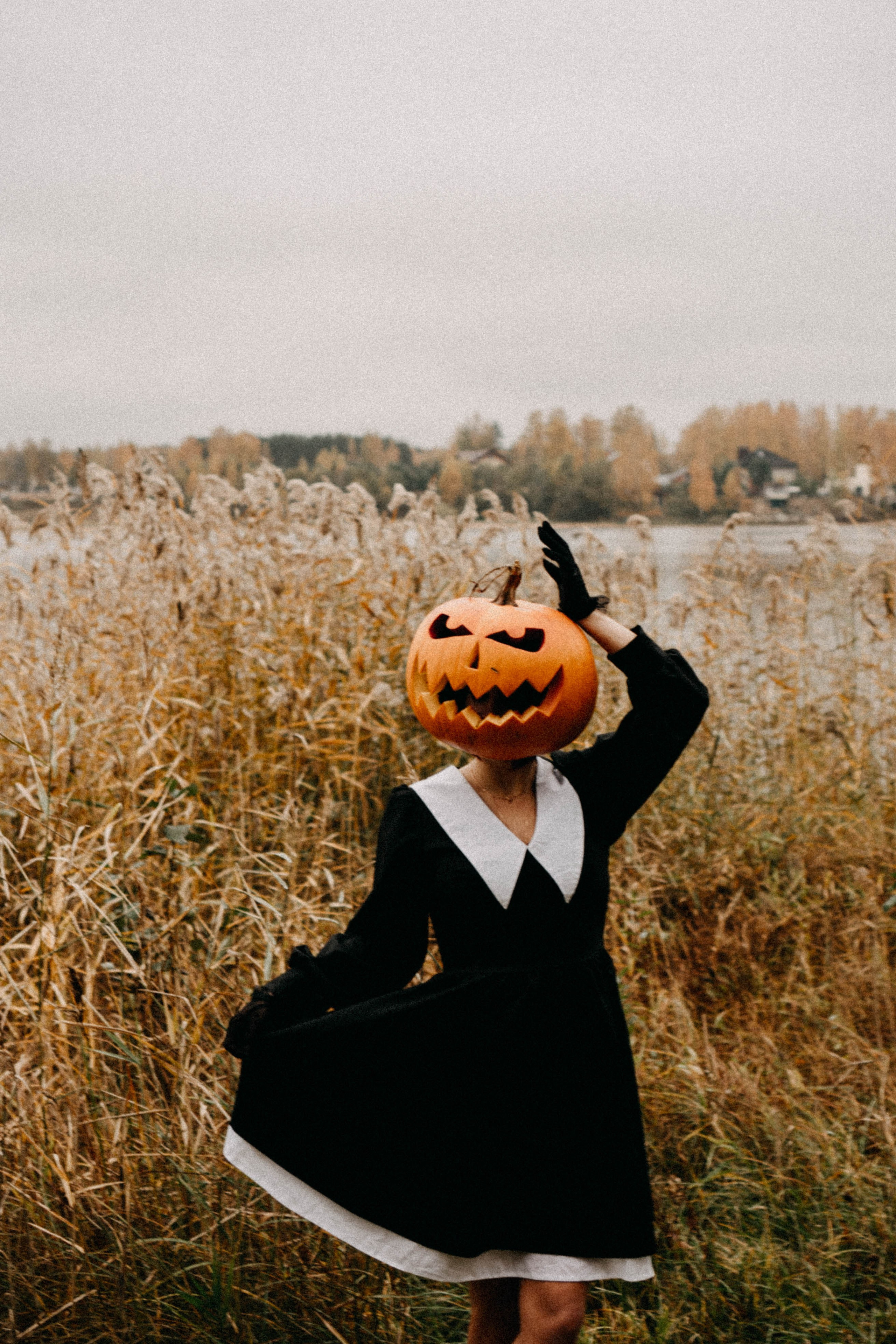 Осеняя. Профессиональный фотограф, Санкт-Петербург — Виктория Богомолова