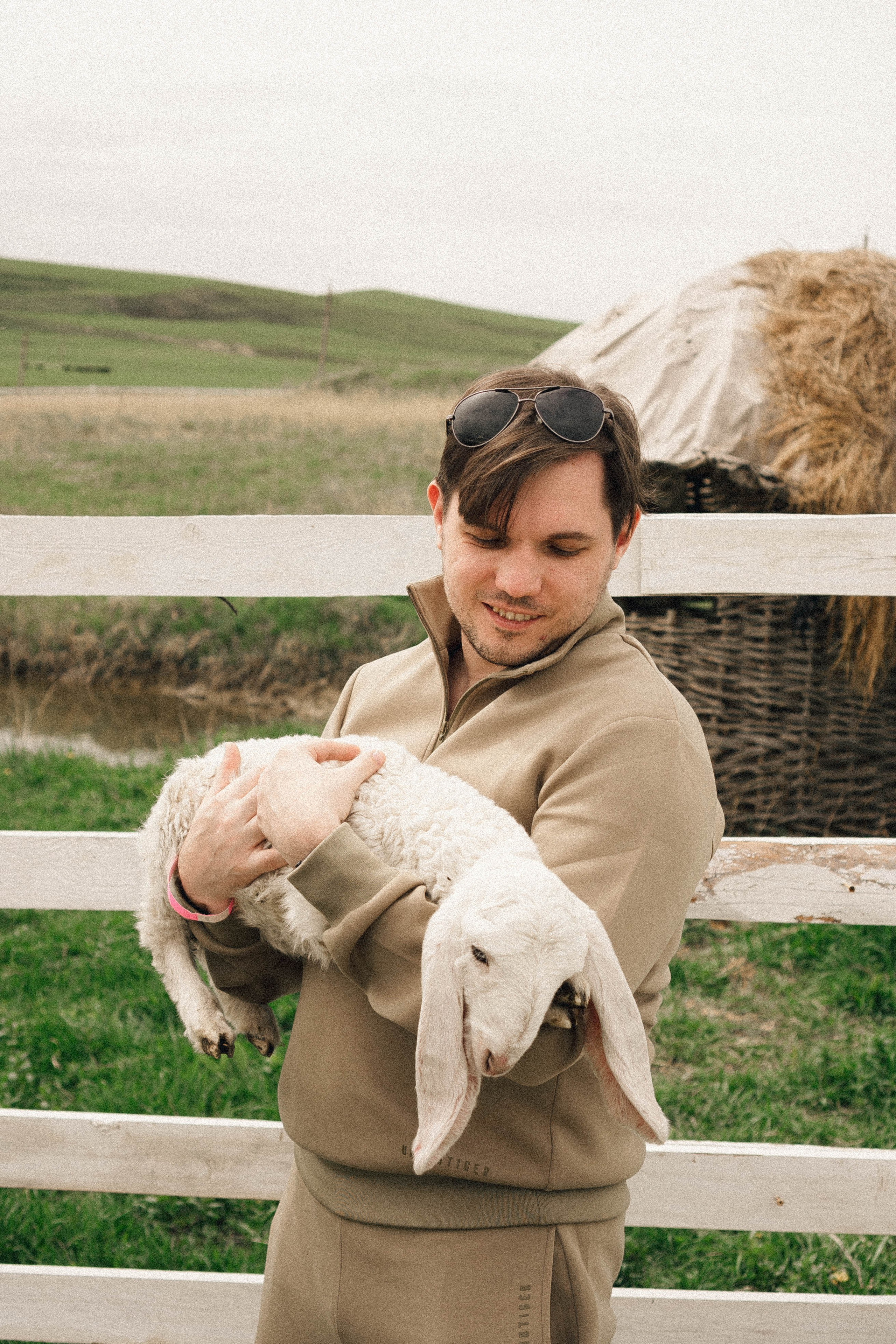 Ферма Альпак. Профессиональный фотограф, Санкт-Петербург — Виктория Богомолова