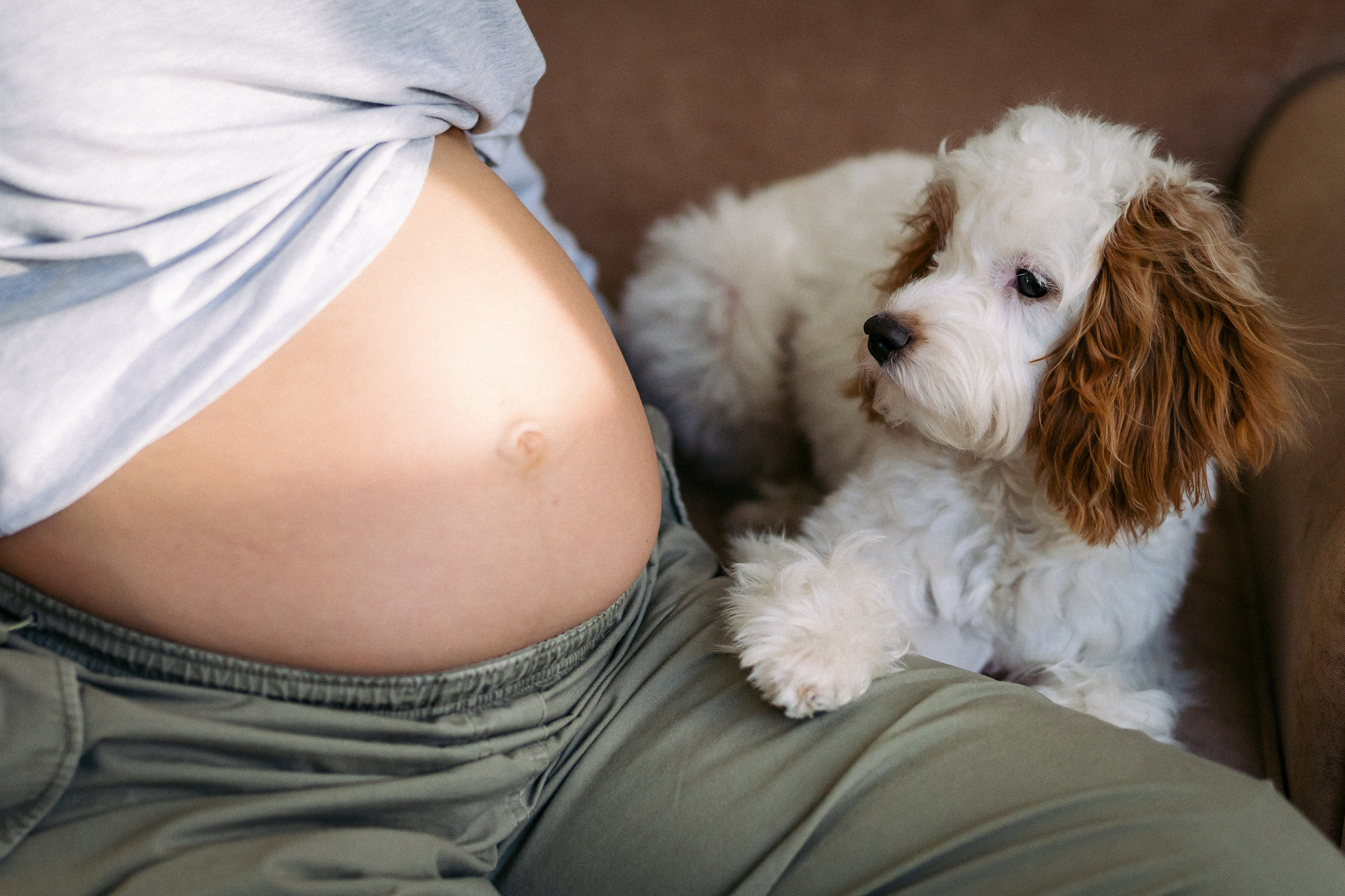 Сабина, Ярослав и Юта