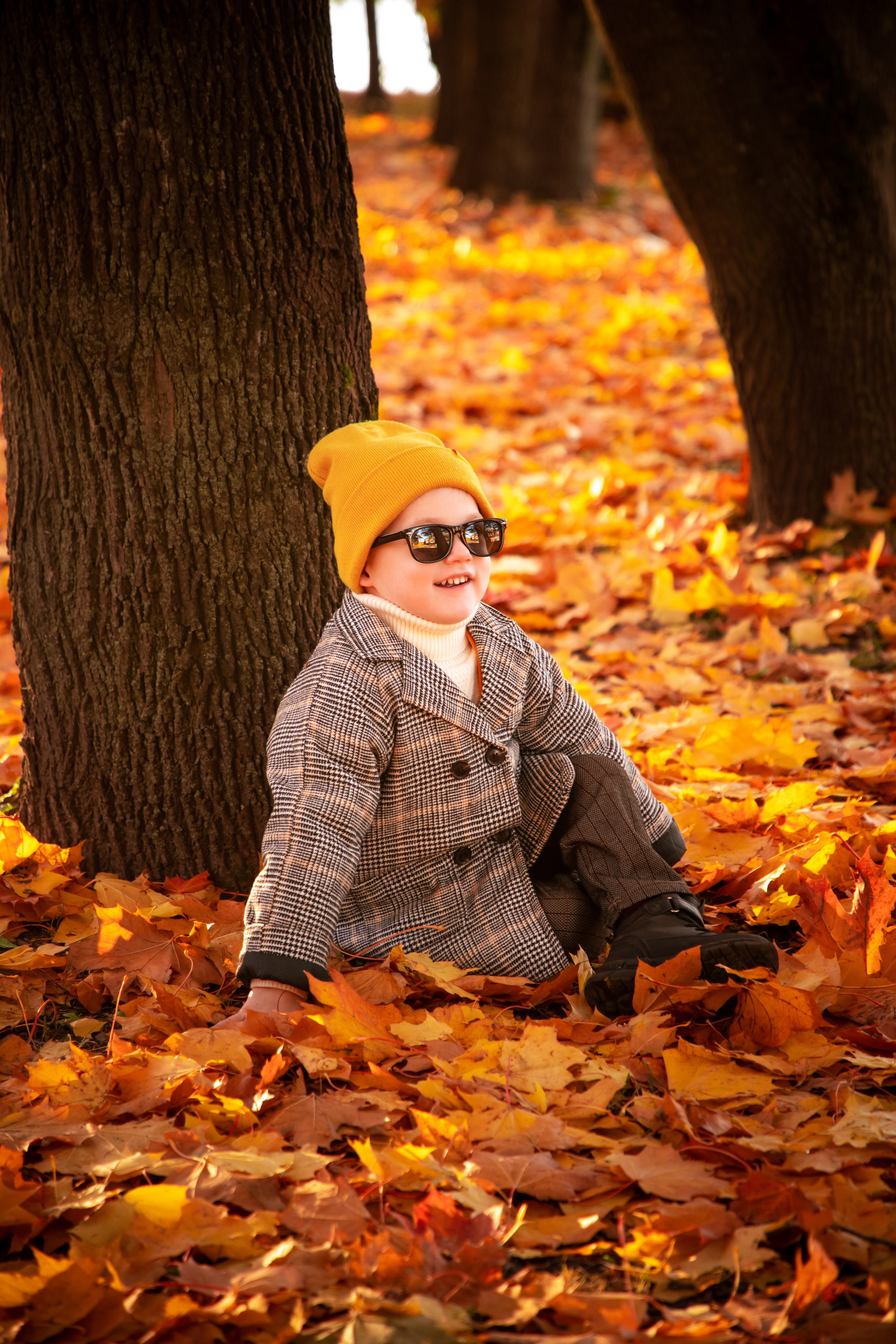 Осень. Фотограф Алексей Шуля — портфолио