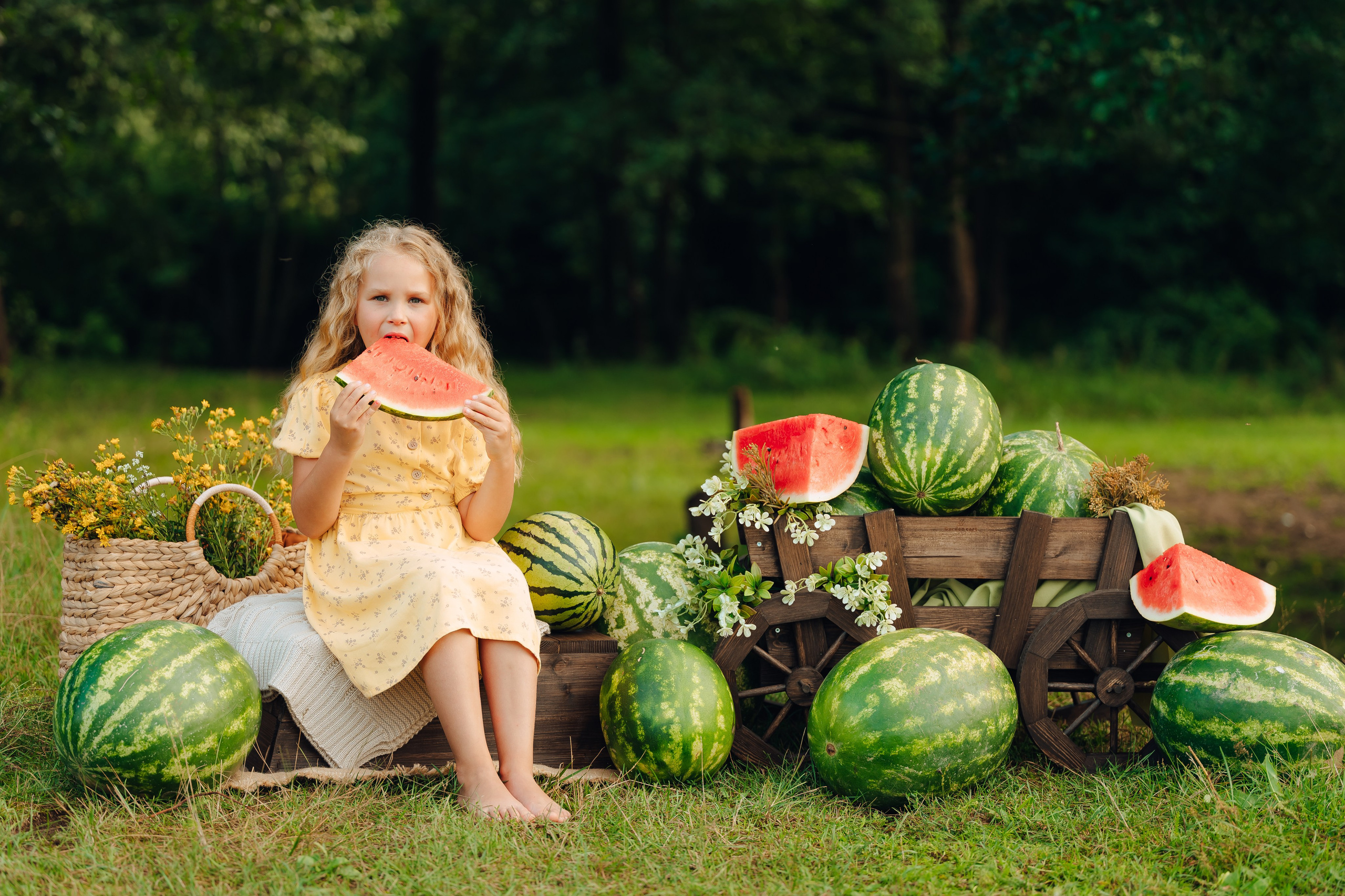 Арбузник. Детский и семейный фотограф Катерина Мишина