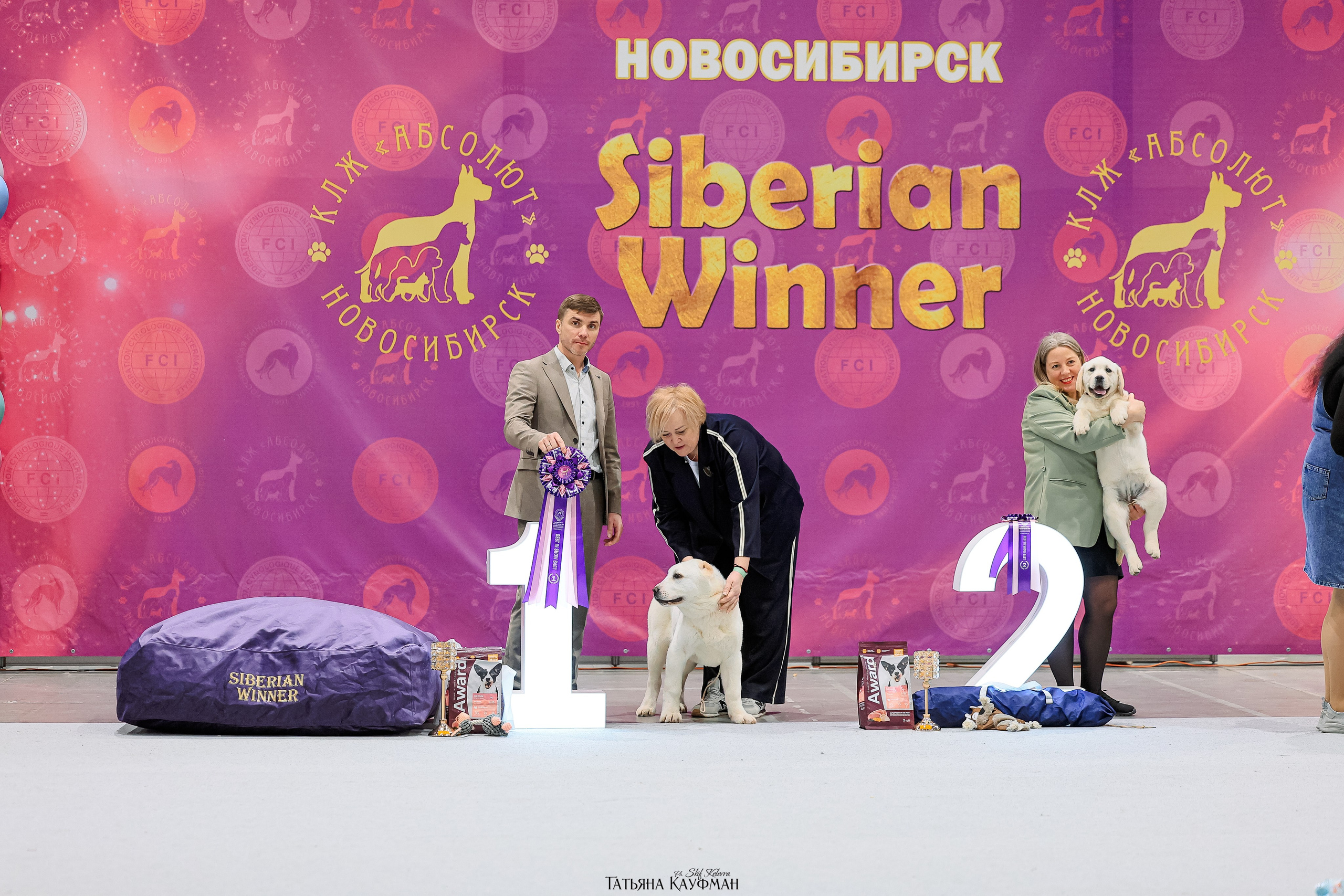 28-29.03.2026 Рейтинговая выставка в Новосибирске. Фотограф Анималист из Новосибирска Татьяна Кауфман