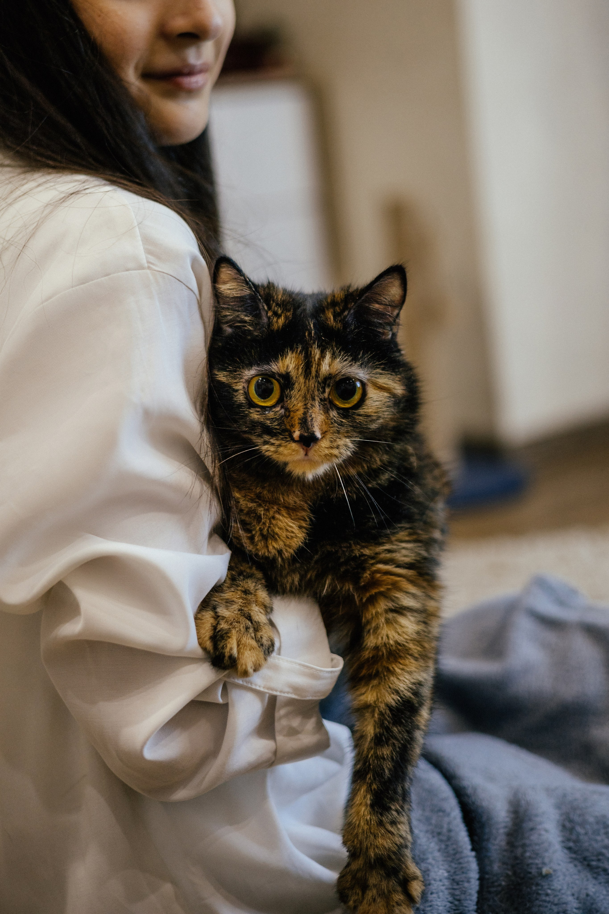 Вика и Буся. Фотограф — анималист Владивосток, Алина