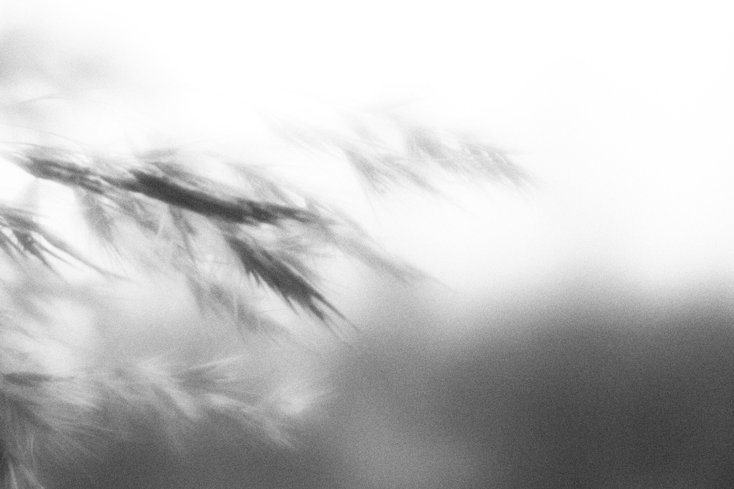 Внутривенные сны (2023)