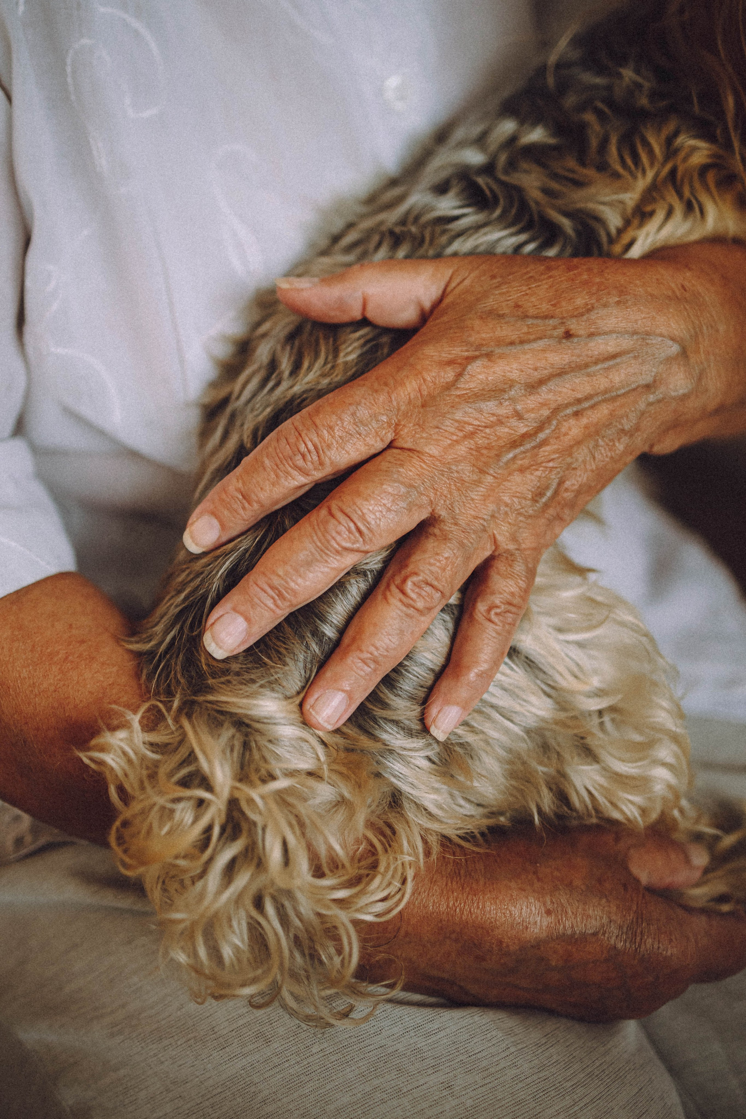 Дэзи и ее семья