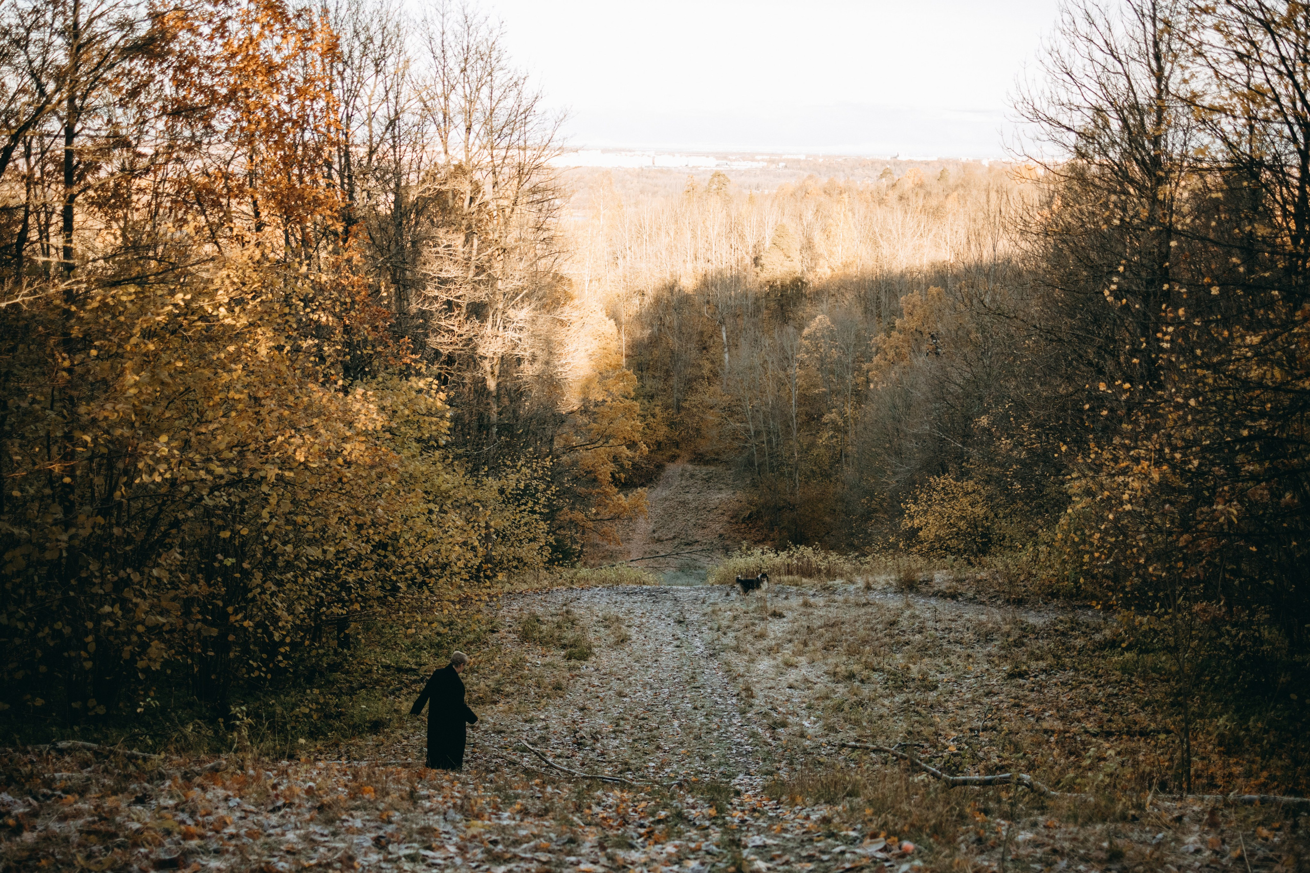 Ия и Барт. Фотограф — Анималист | Санкт-Петербург